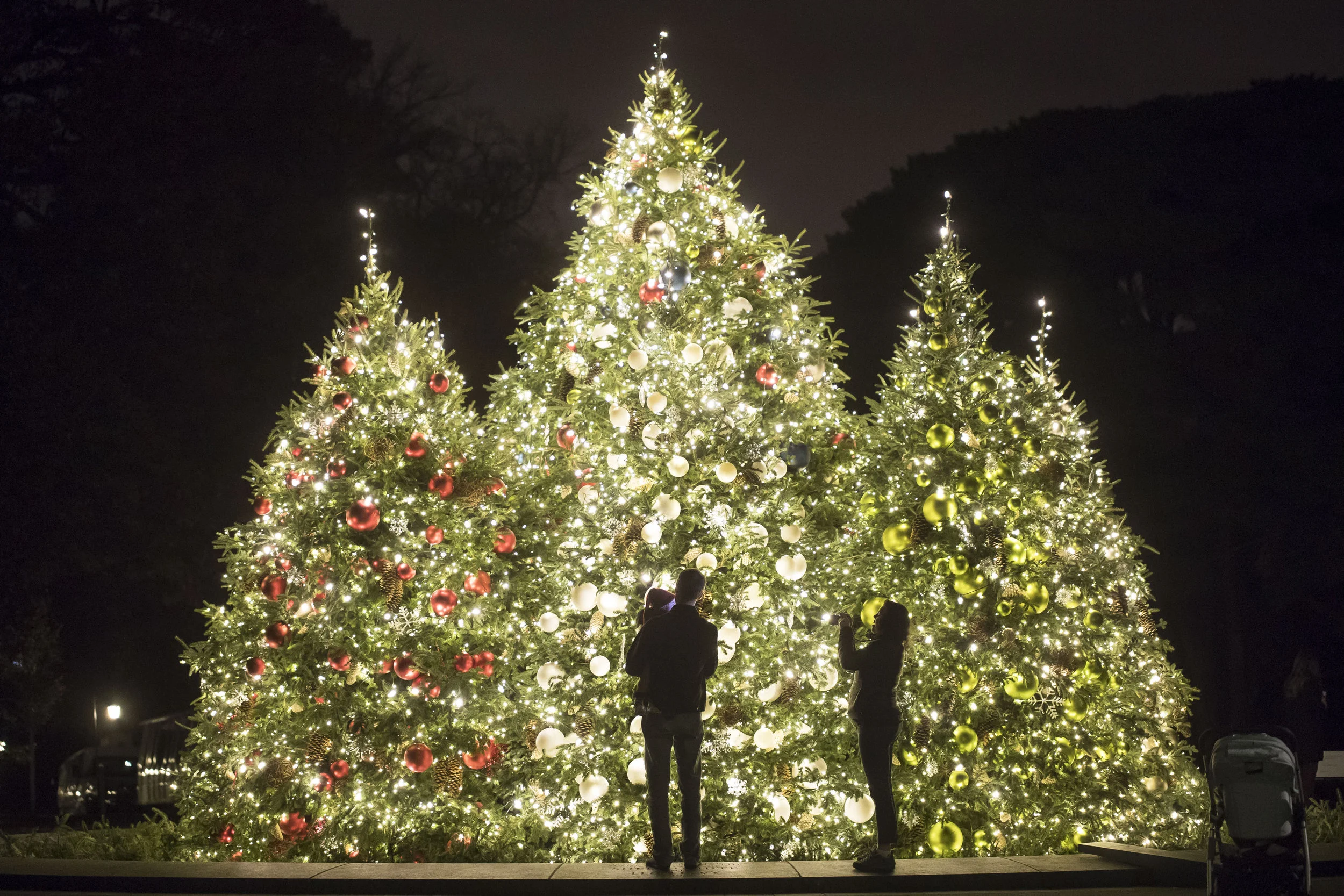  NY Event Photographer NYBG Garden Photo Christmas Tree Holiday 