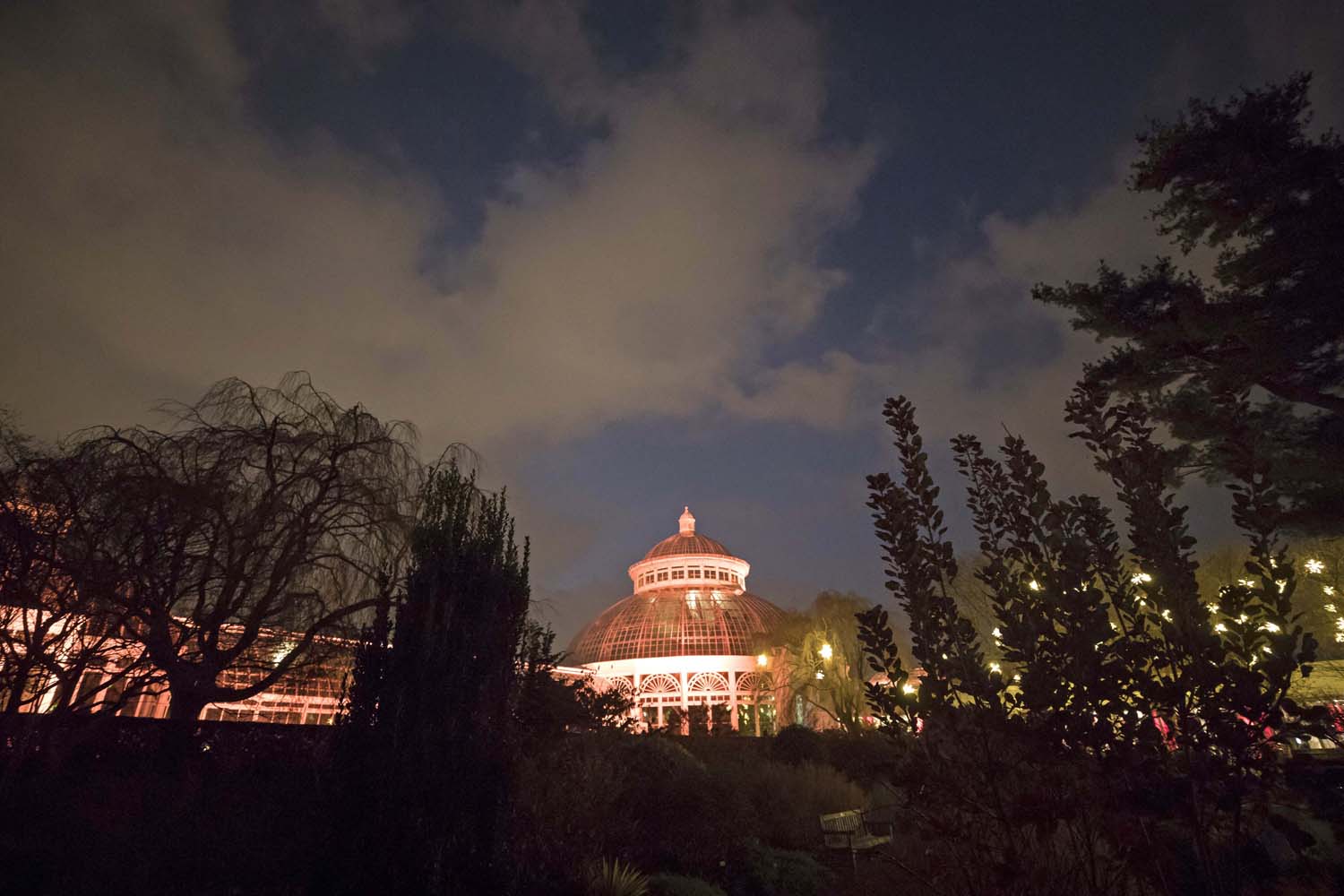 NYBG Event Photographer NYC