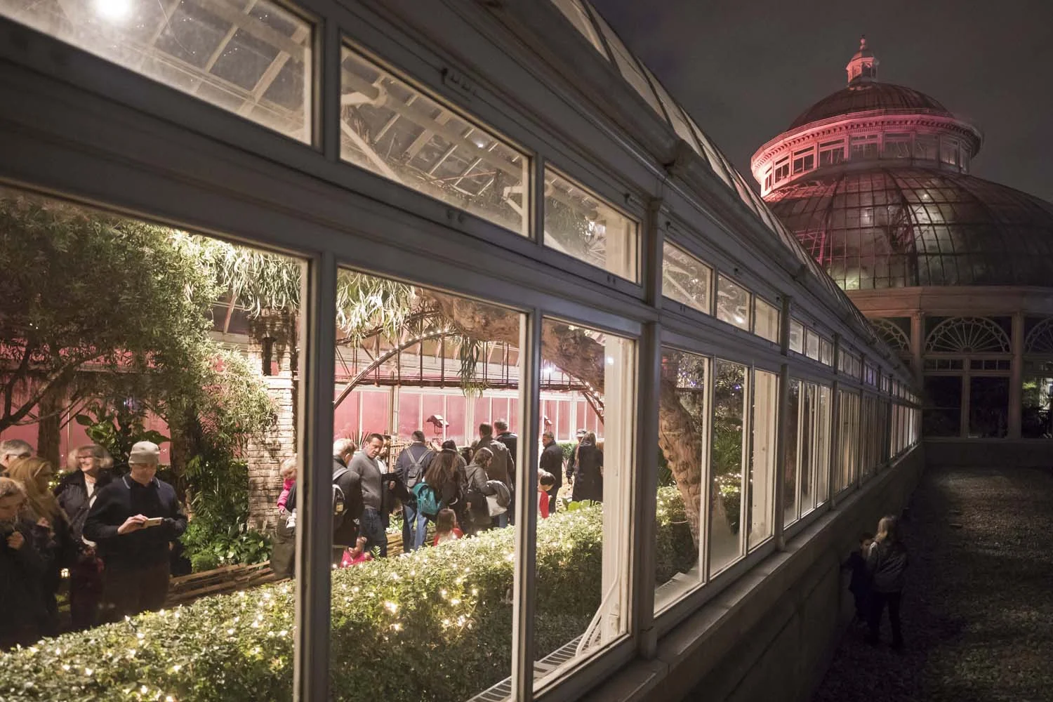 NYBG Event Photographer NYC