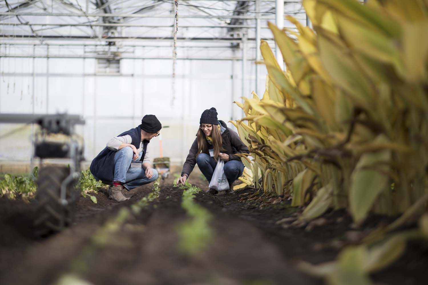 Stone Barns Center for Food and Agriculture Young Farmers Conference Photographer