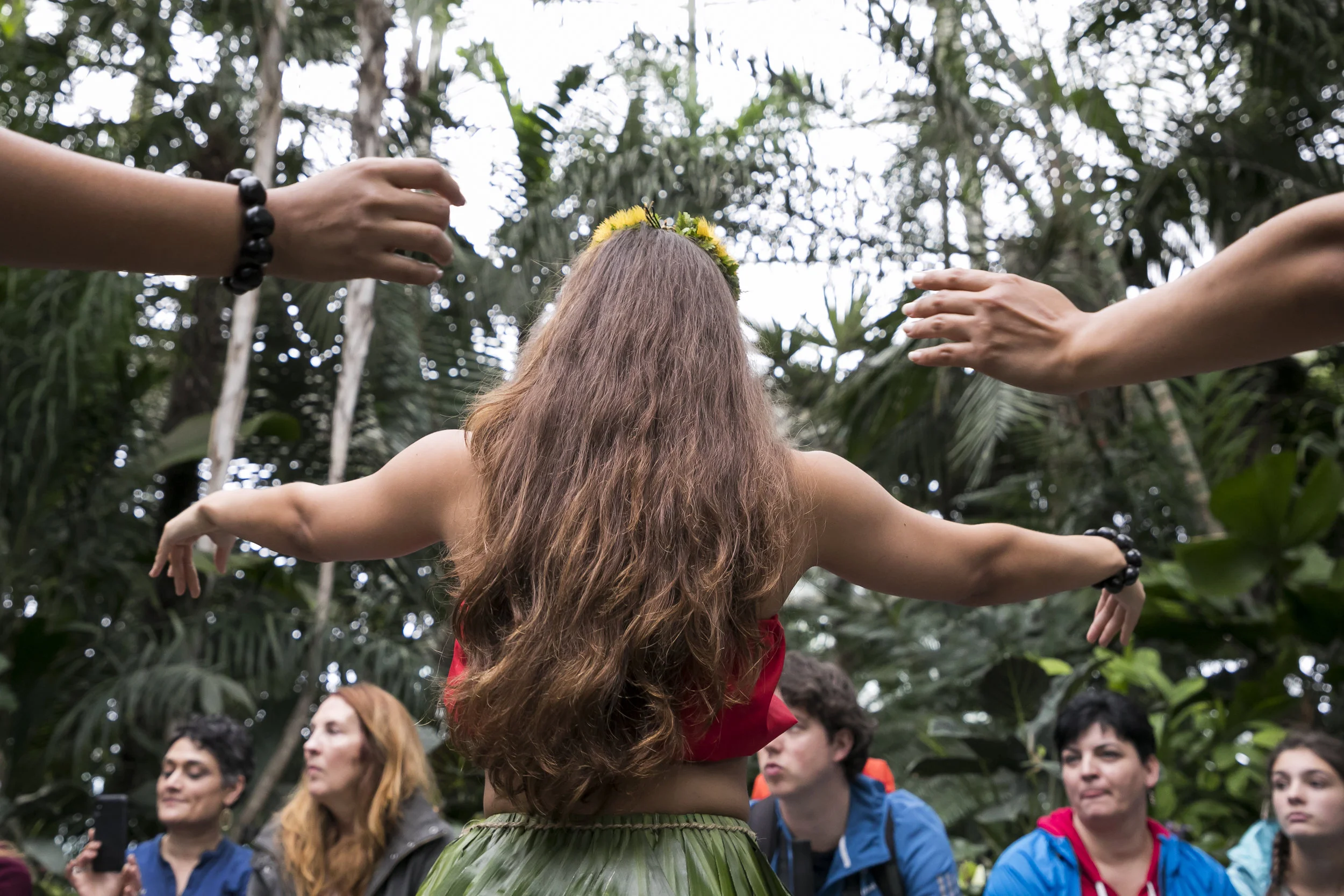 NYBG Hula Dancer