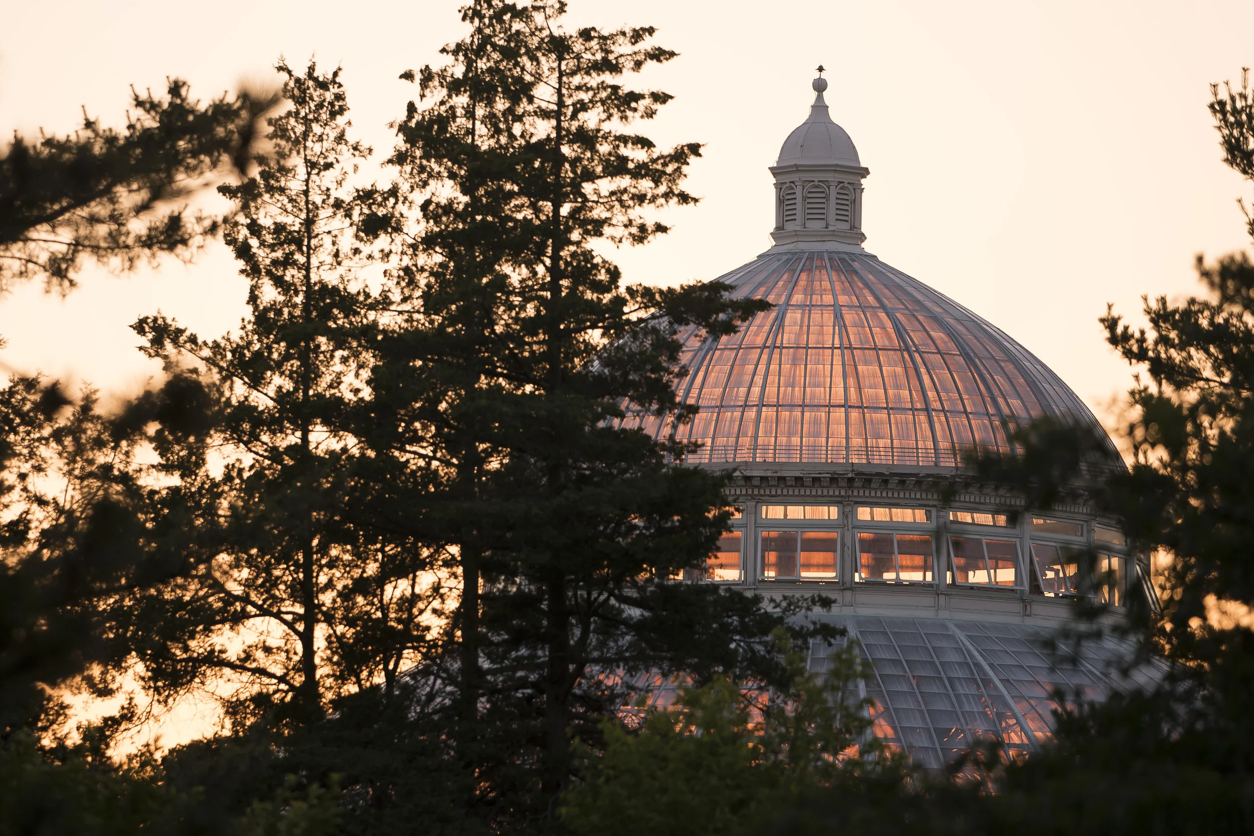 NYBG Sunset Conservatory Glass