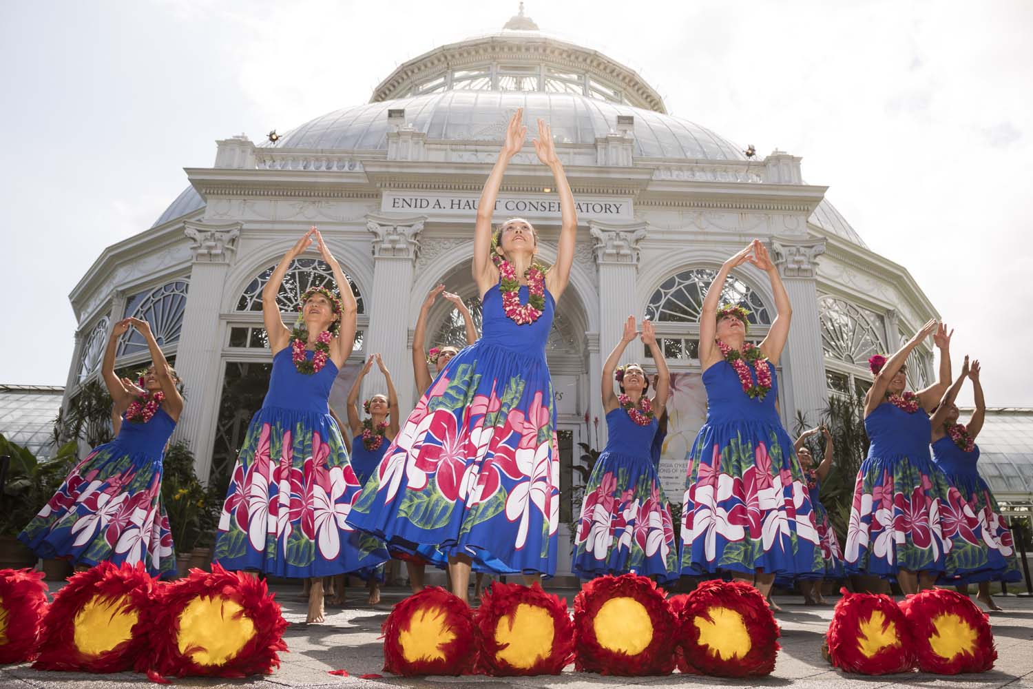 Hula Dancers perform in The Bronx