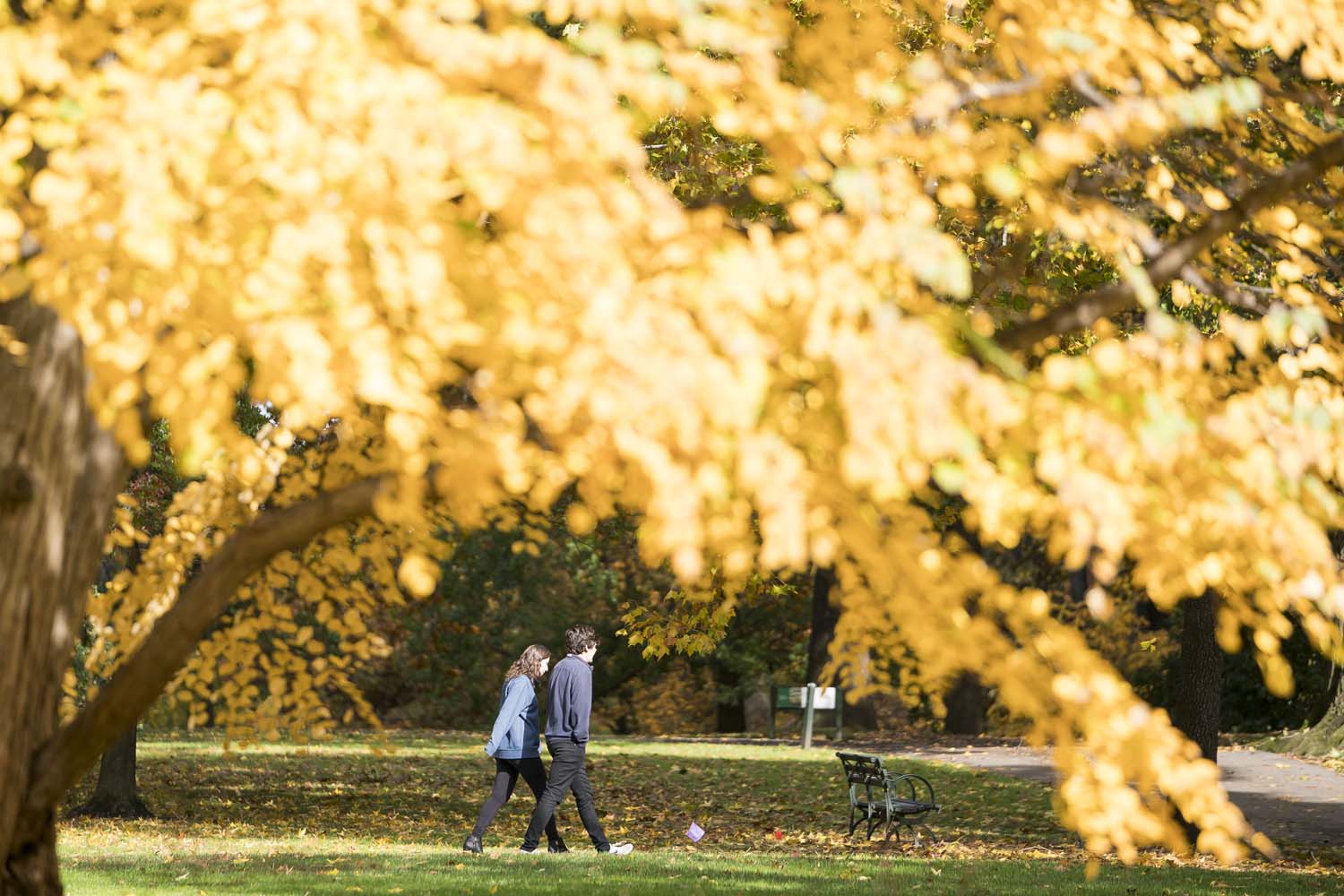 NYBG-Photographer_0750.jpg