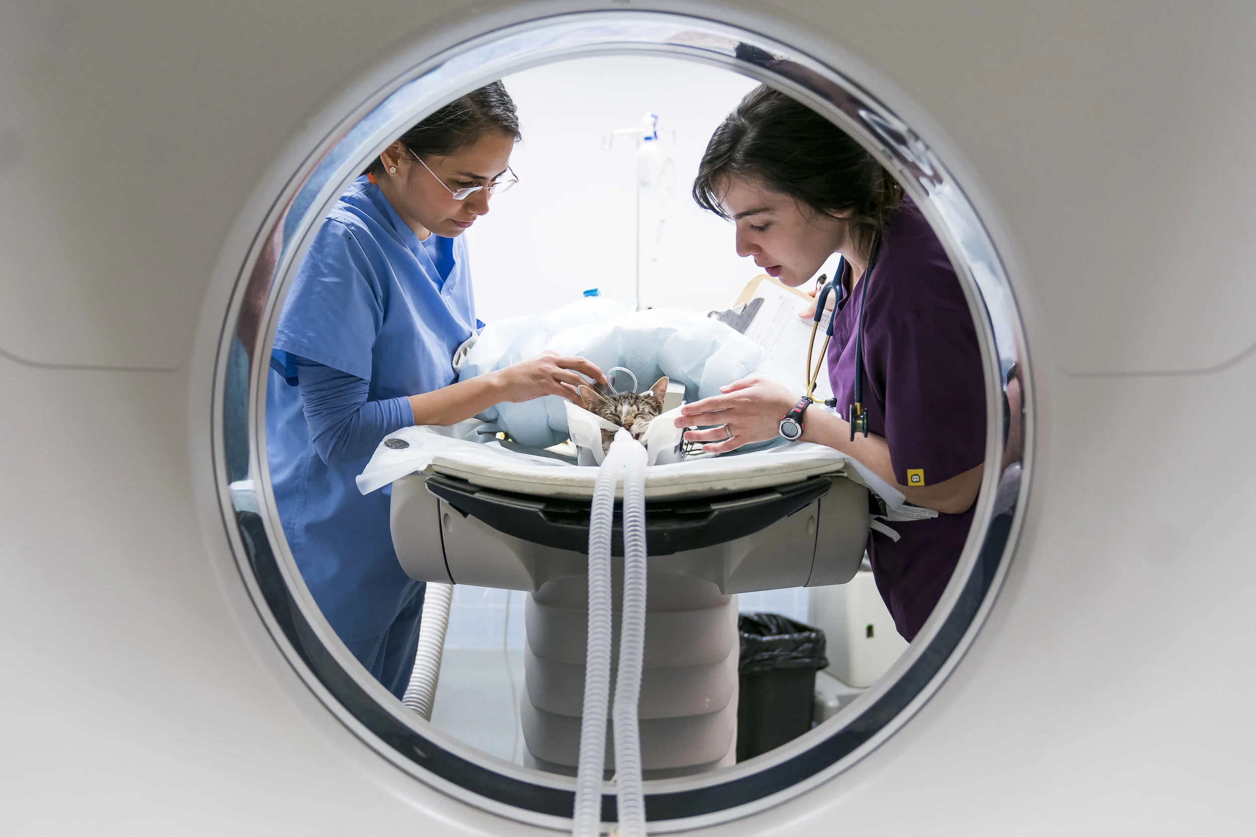 MEdical_Photographer_227.JPG