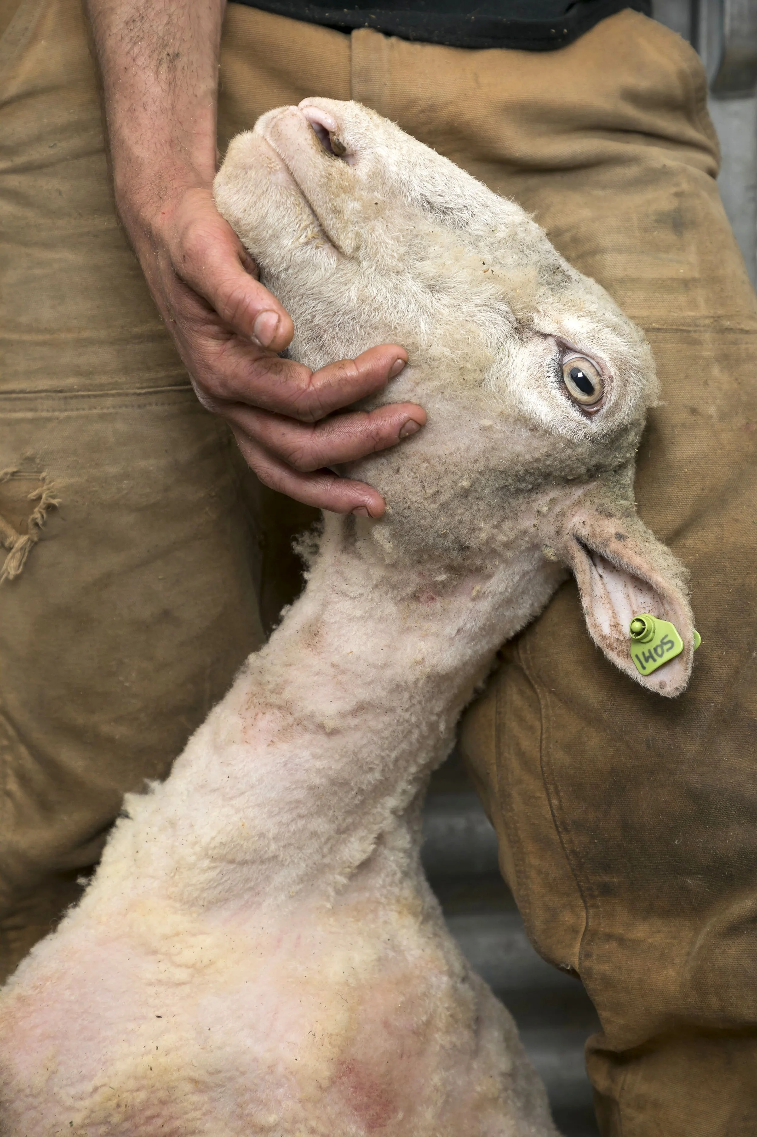 Ben_Hider_BJH13134 copy.JPG