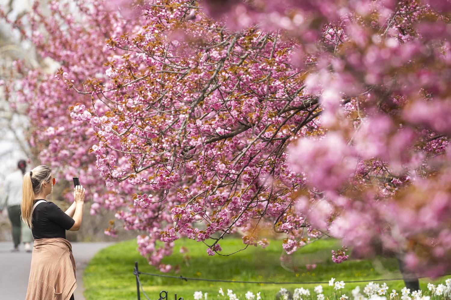 NYBG_Photographer_NYC_351.JPG