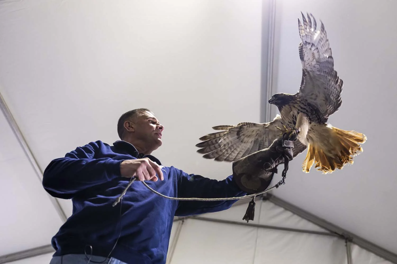 Eaglefest_Westchester_photographer_1182.JPG