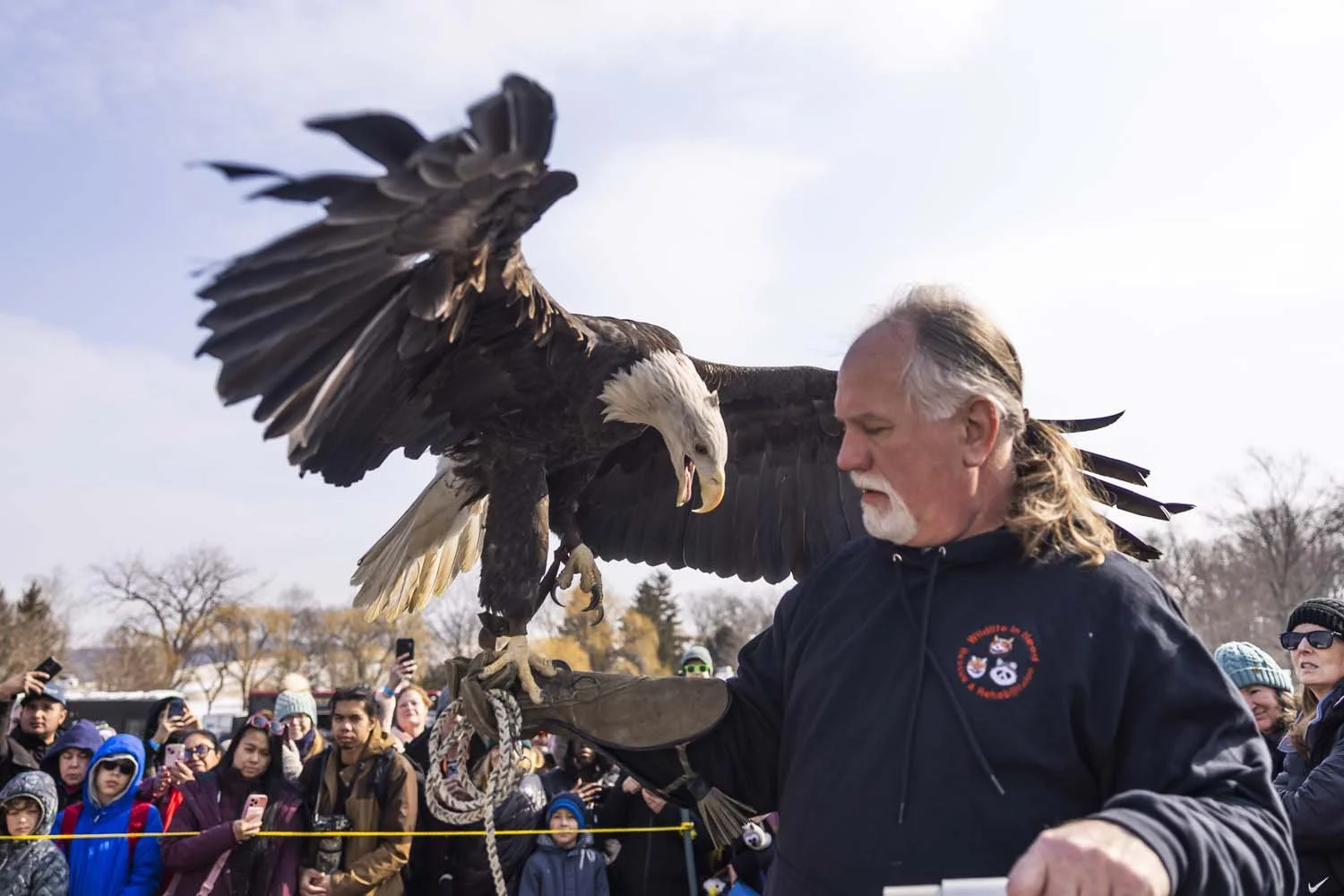 Eaglefest_Westchester_photographer_1183.JPG