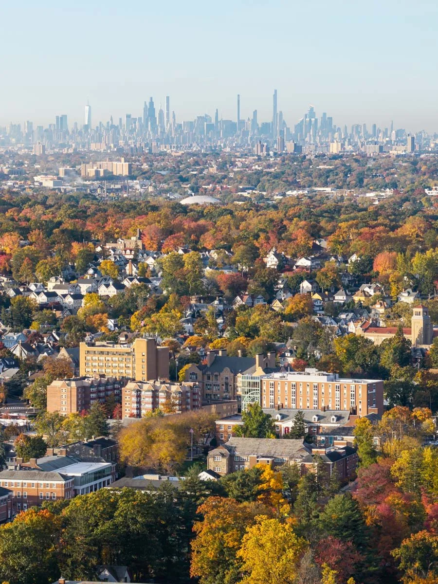 NY_Drone_Photographer_0450.JPG