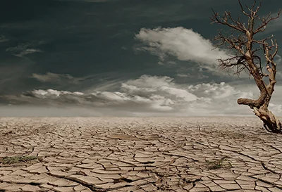 Cracked earth.jpg