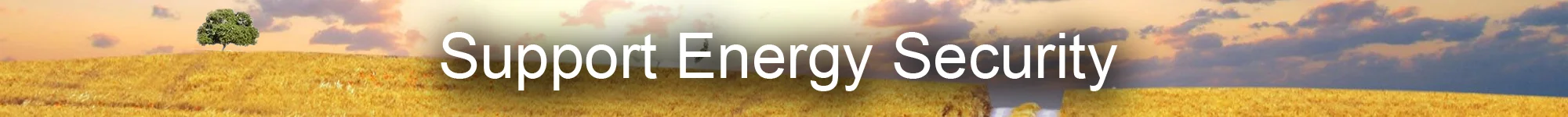 energySecurity.jpg