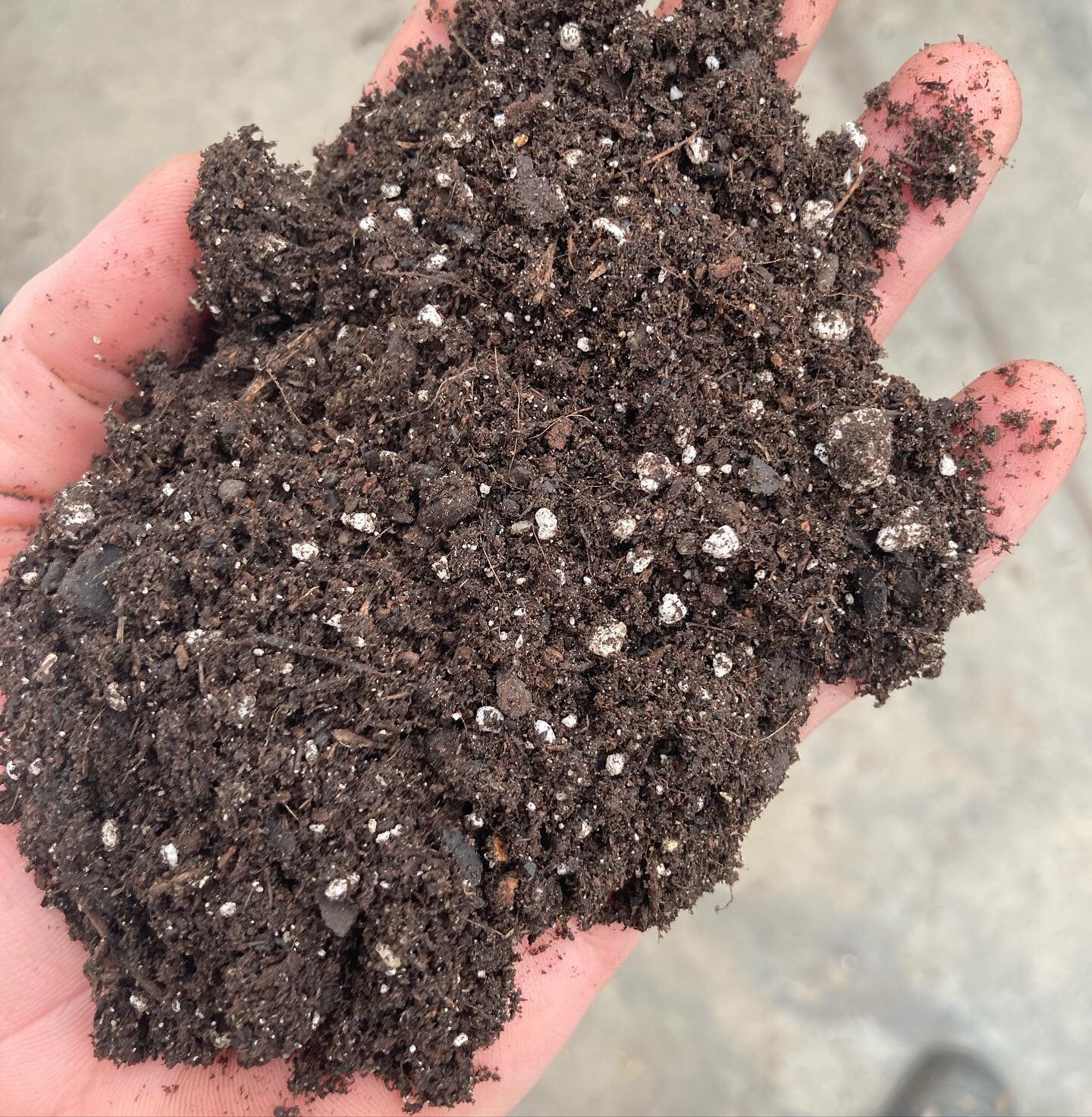 Introducing our Pro-Base Mix, a lower cost growing media for growers who wish to supplement their own fertility. Originally designed for microgreens growers, we took our most popular living soil container mix and stripped out the added fertilizers bu