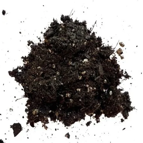 CMS-closeup.jpg