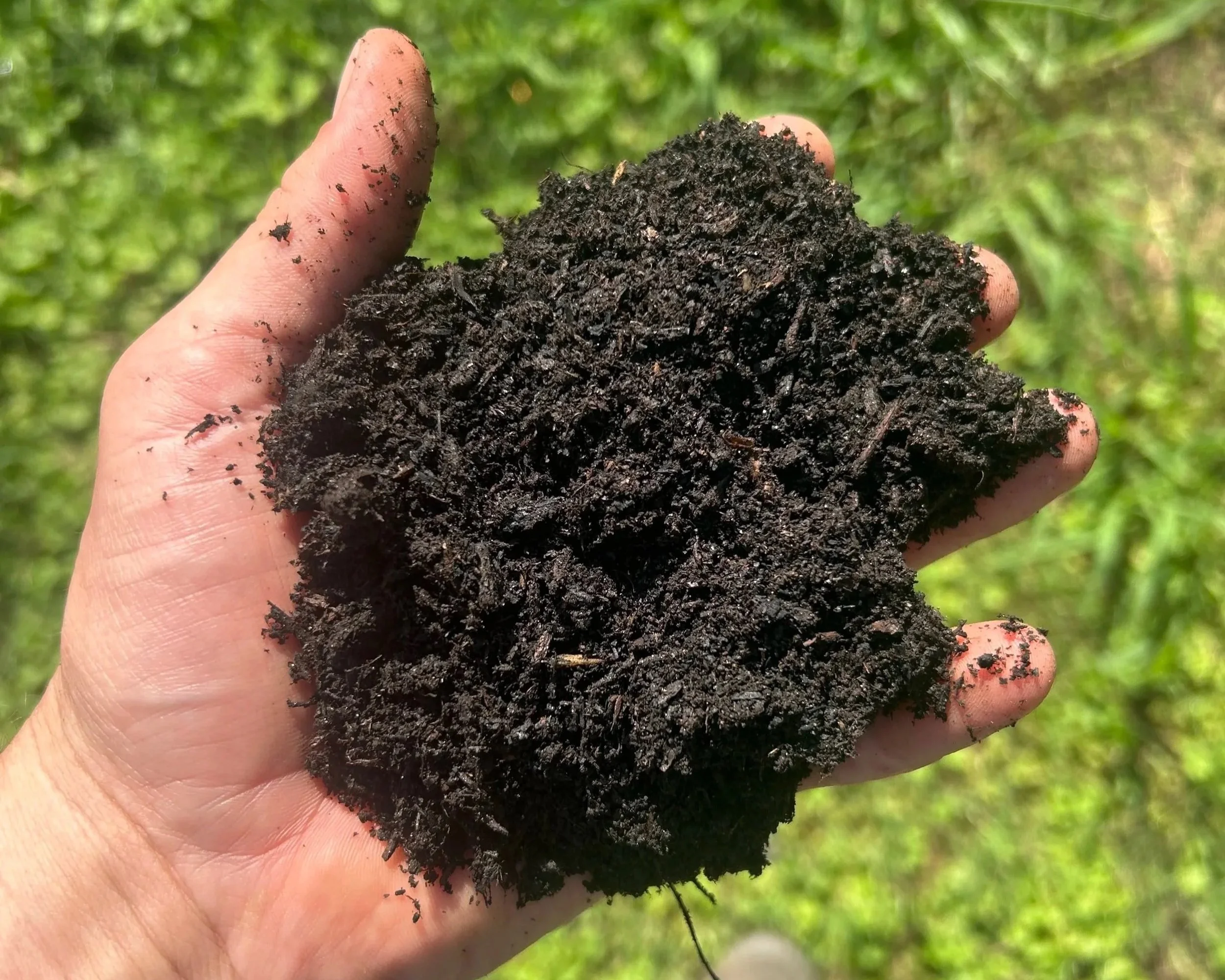 dark+matter+compost.jpg