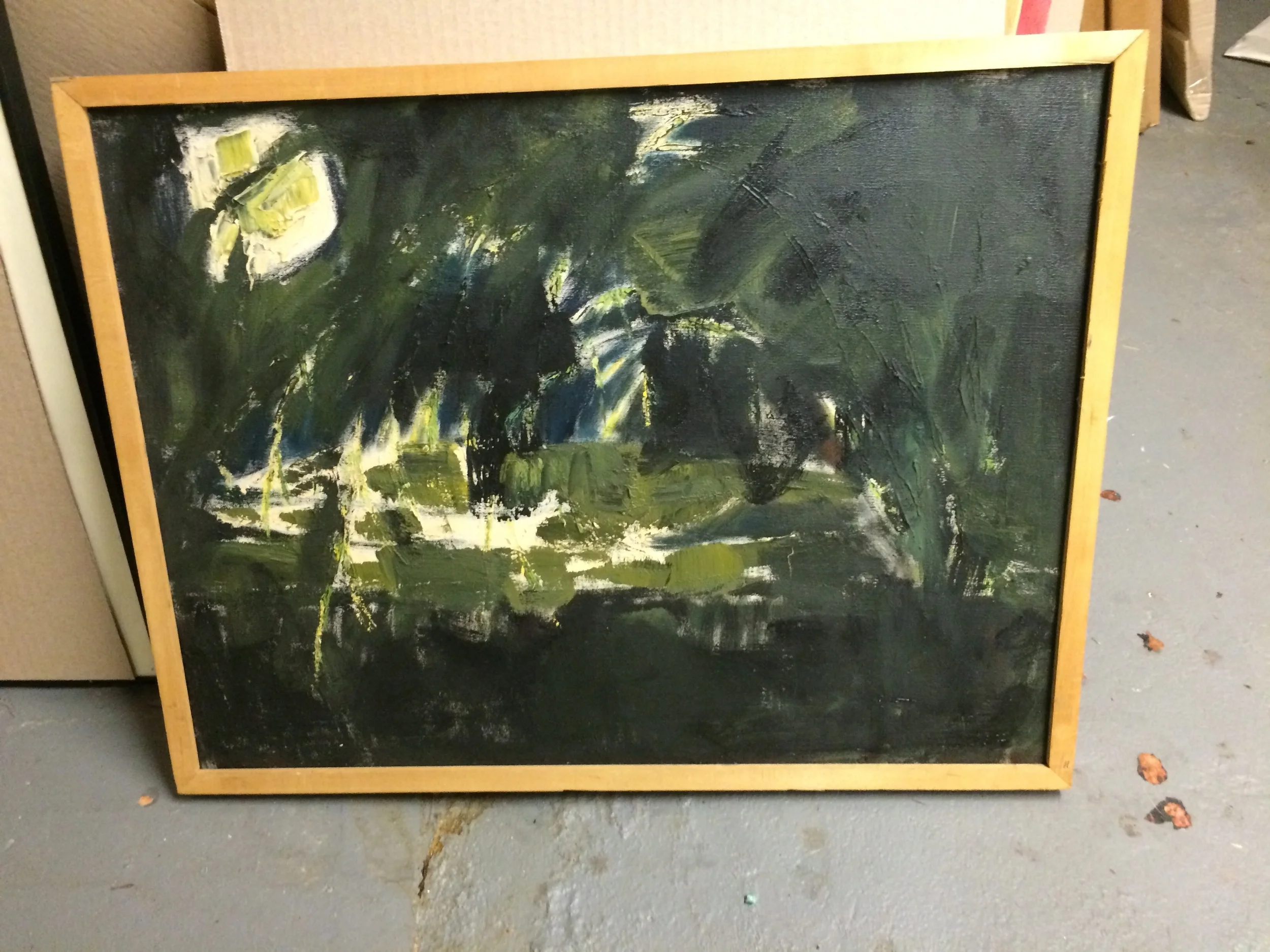 Dark Landscape  25 x 19h Bin G 