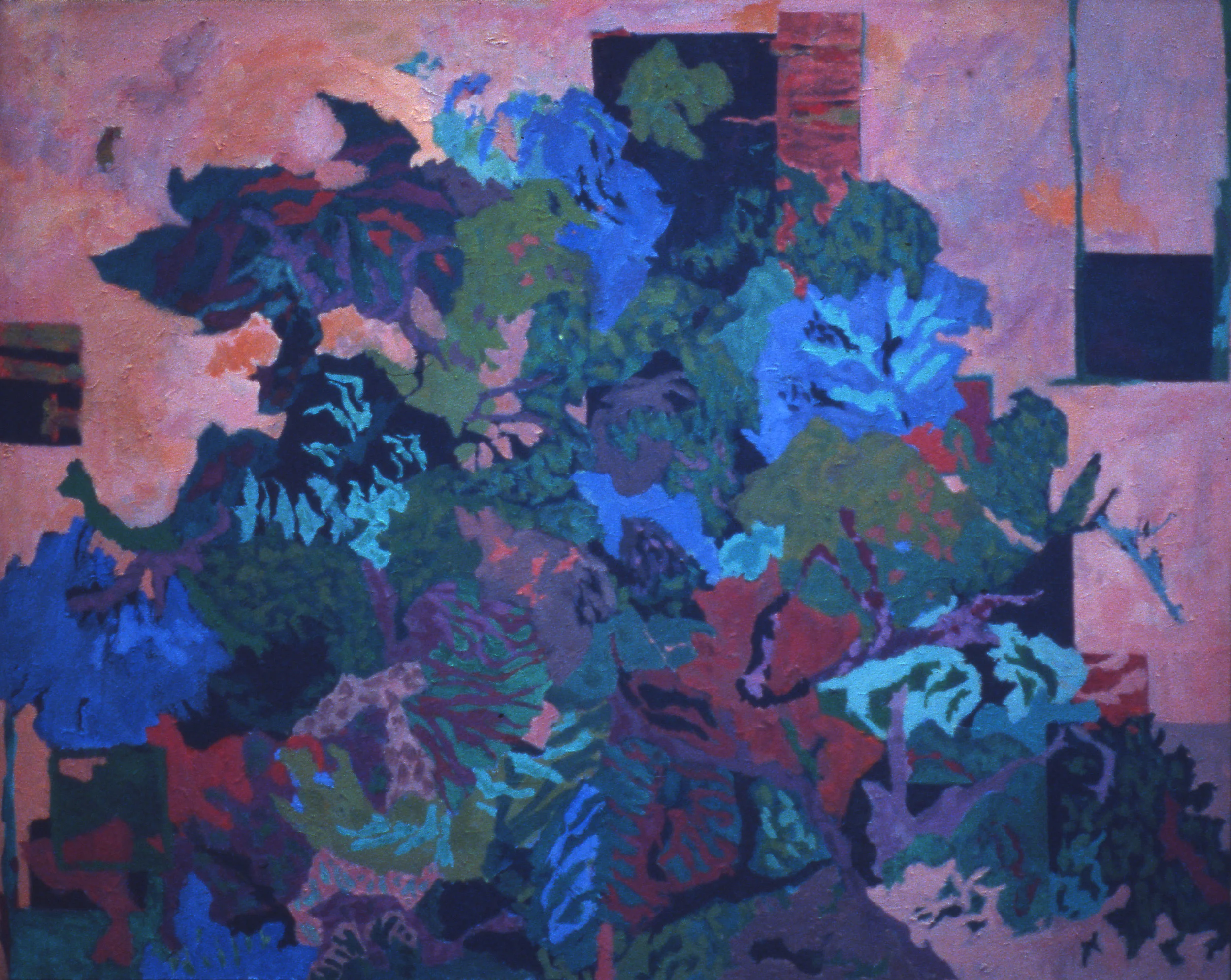 84 E Himmelfarb  ac.jpg