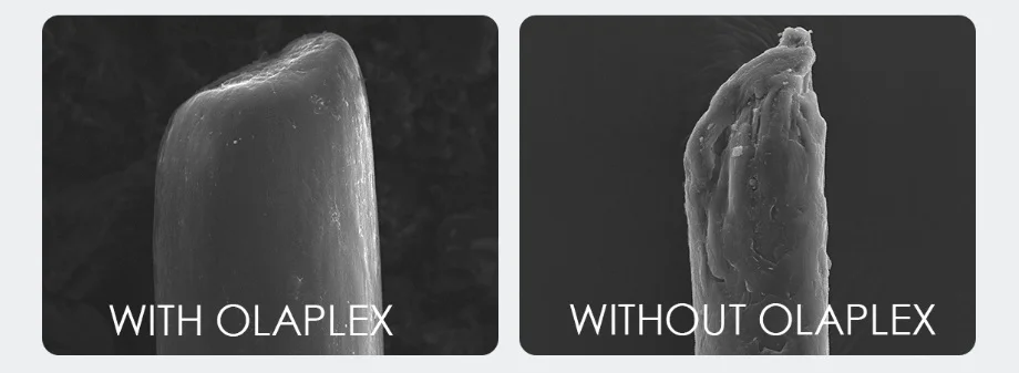 Olaplex+Hair.jpg