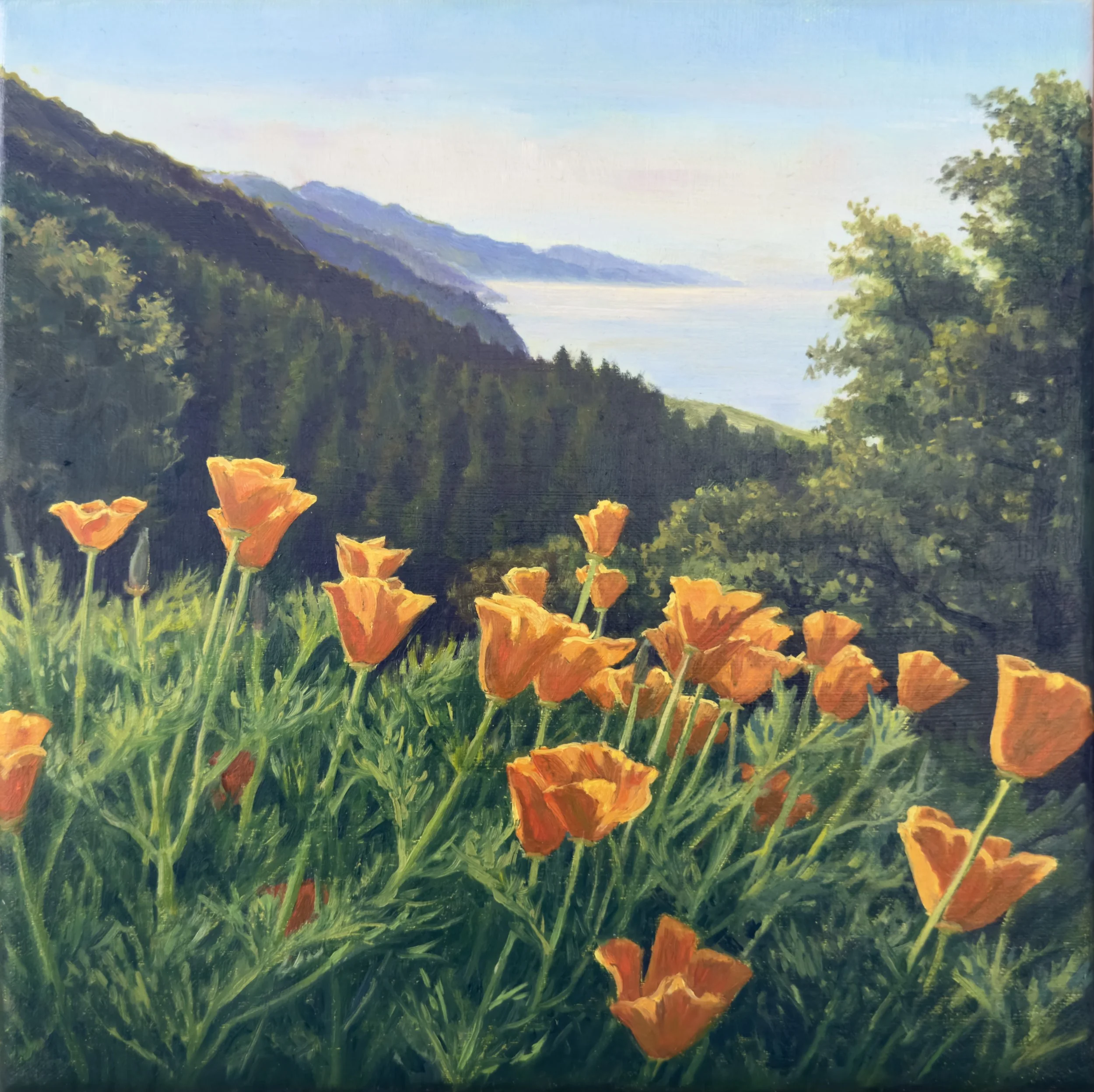 Coming Soon - View From Nepenthe