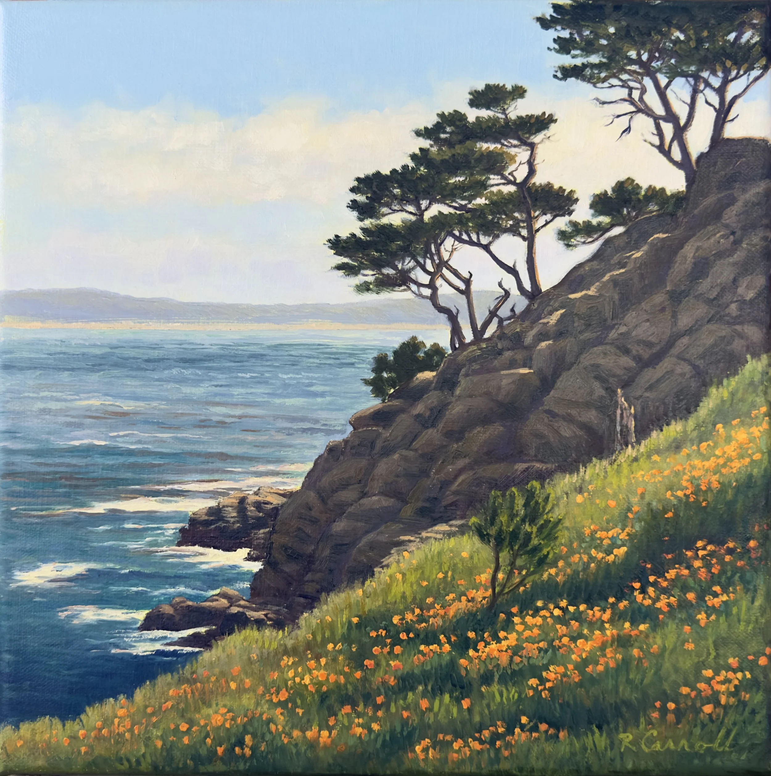 Coming Soon - Pt Lobos Poppies