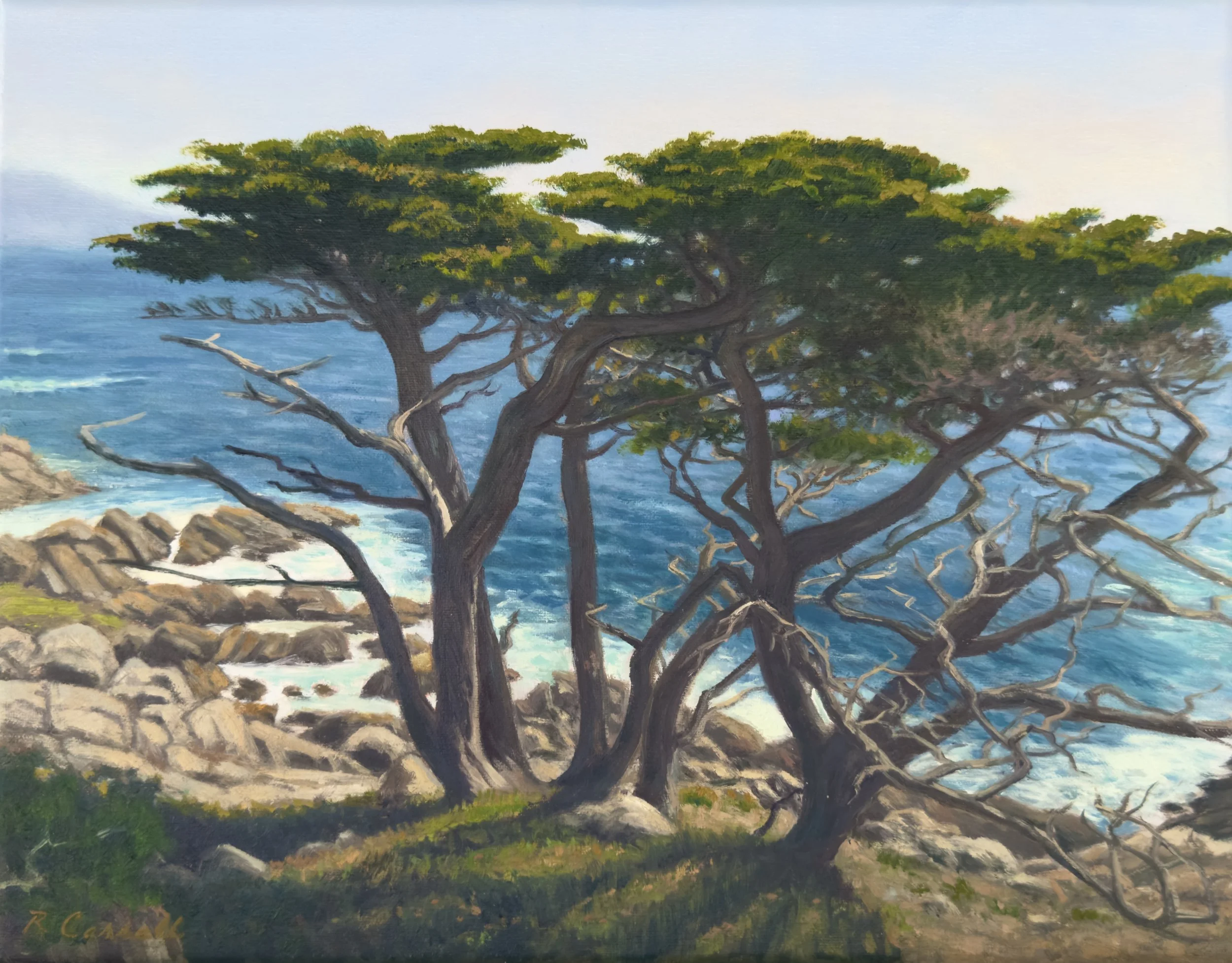 Coming Soon - Pebble Beach Cypress