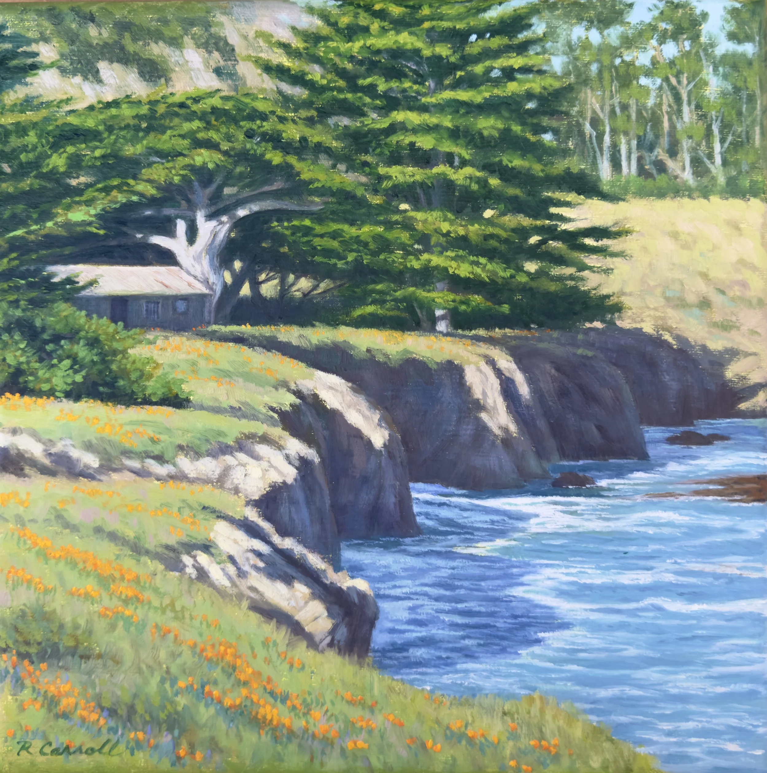 Coming Soon - Whalers Cove, Pt Lobos