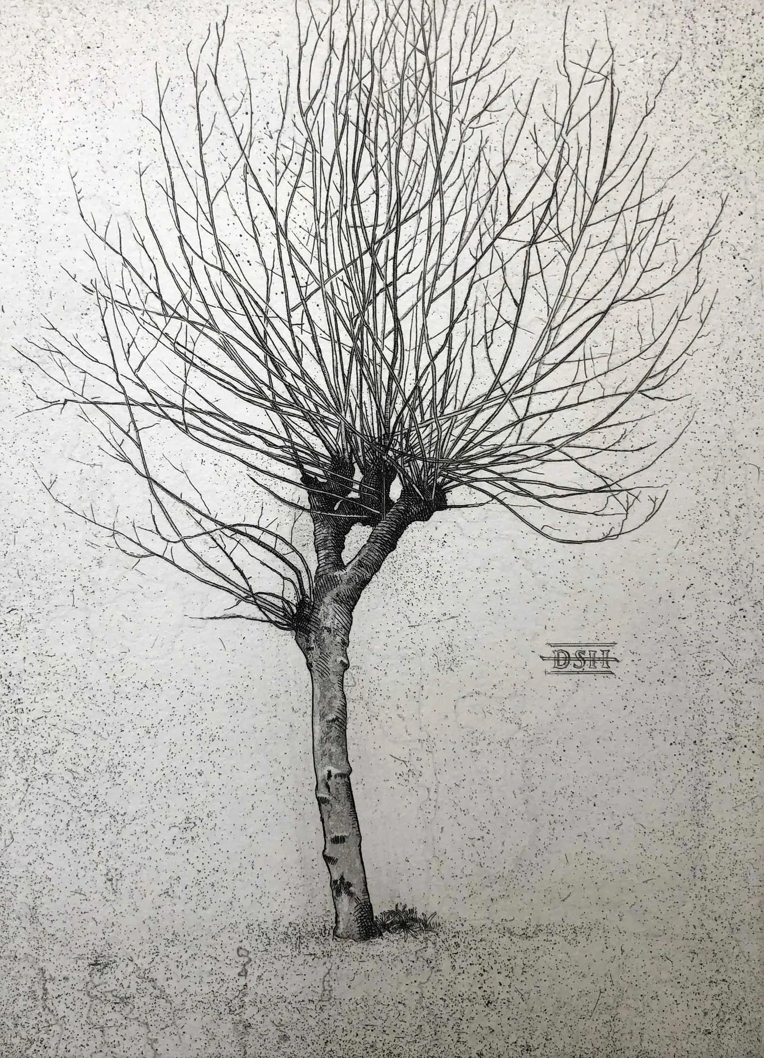 David Smith-Harrison