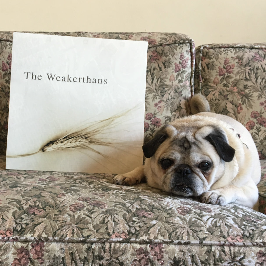 Deconstructing The Weakerthans w/ David Anthony (2017 Revisited)