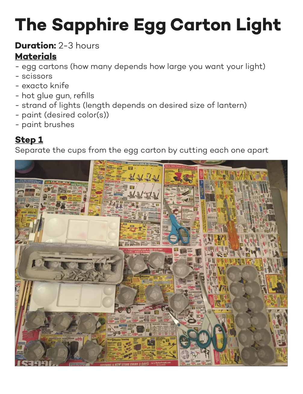 Egg Carton 1.jpg