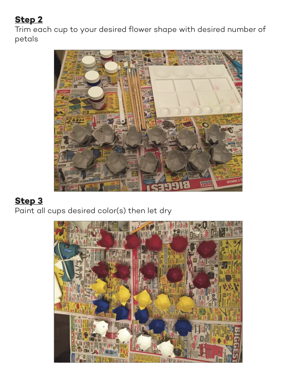 Egg Carton 2.jpg