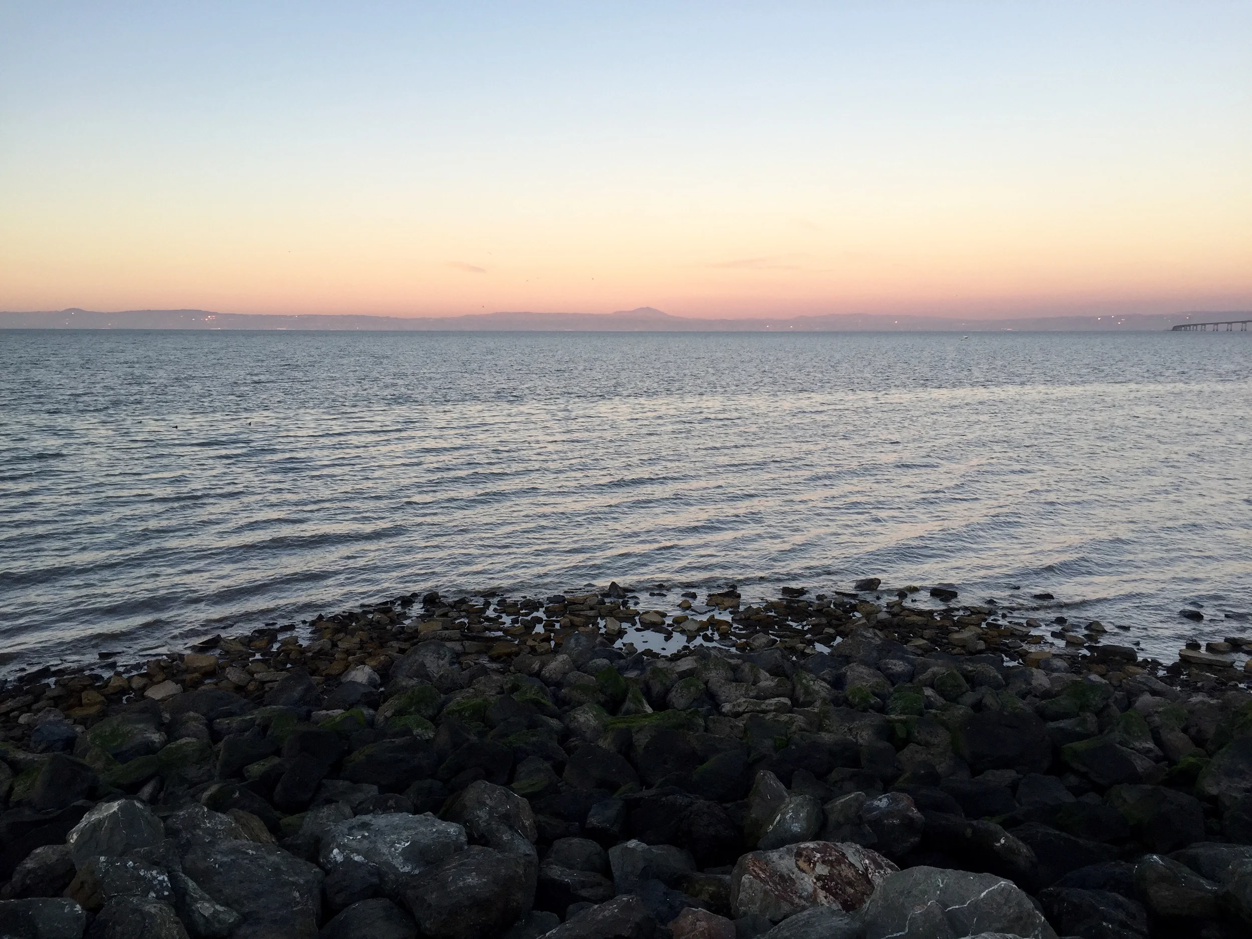 Seal Point Dog Park
