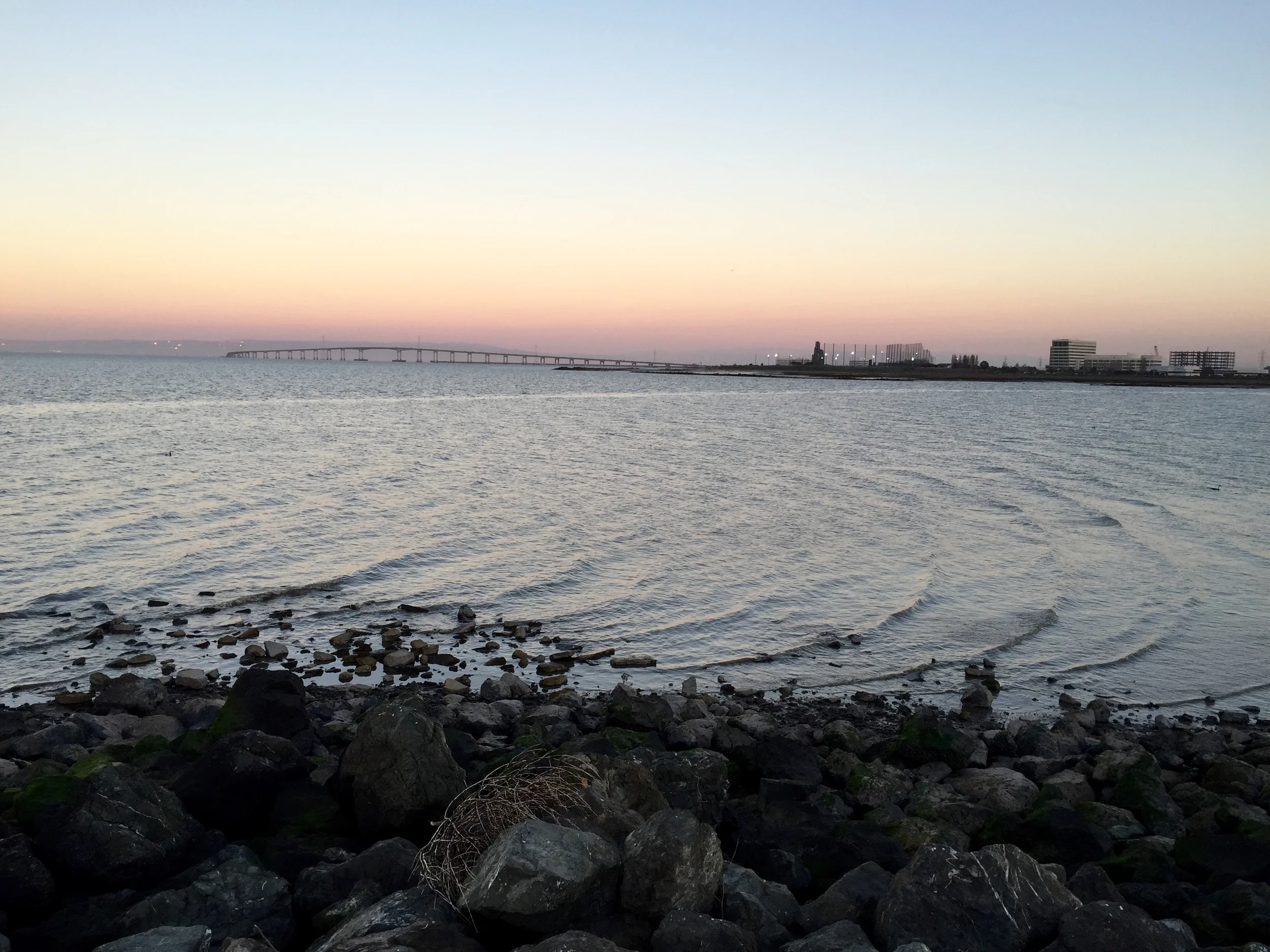 Seal Point Dog Park