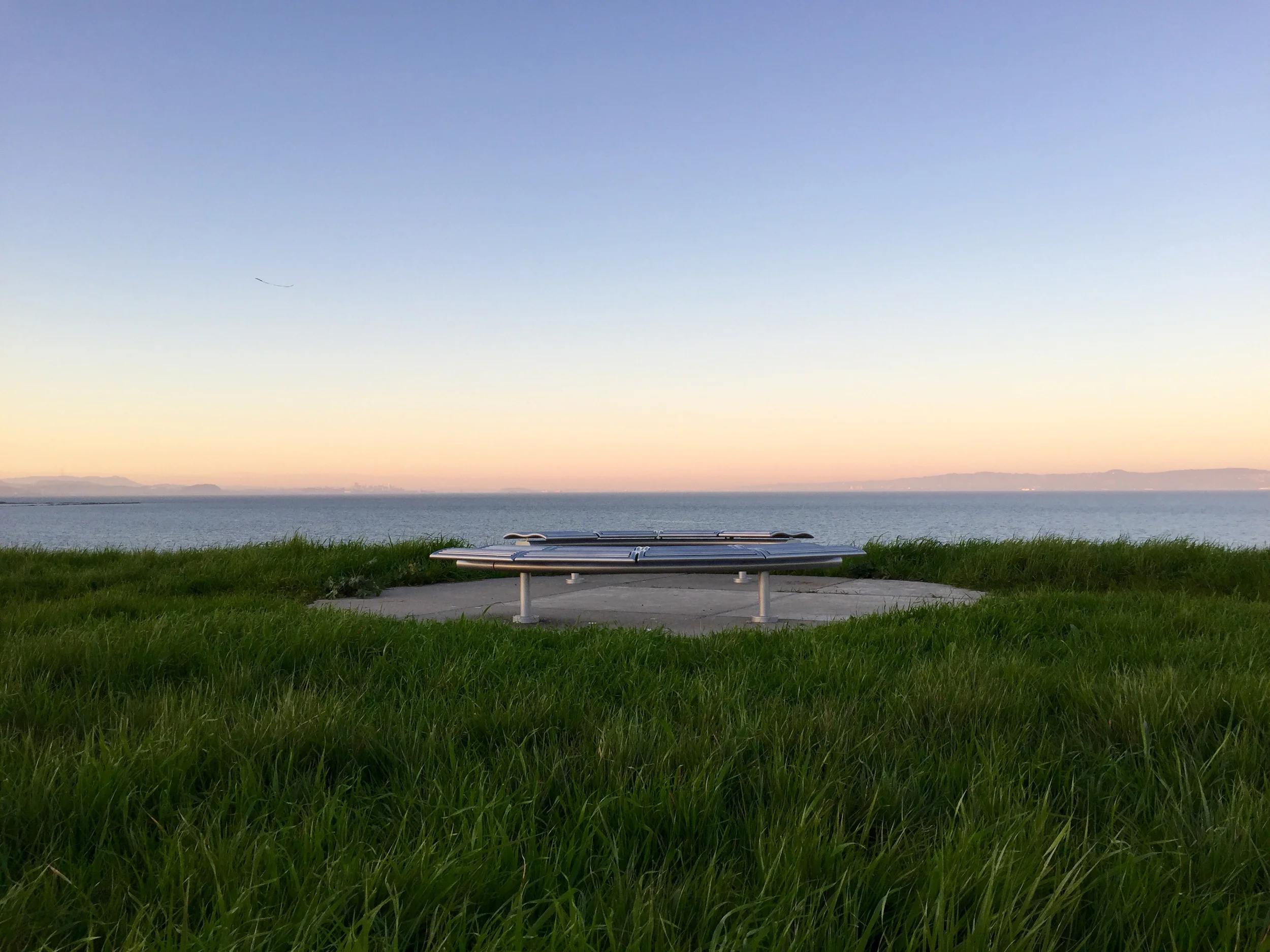 Seal Point Dog Park