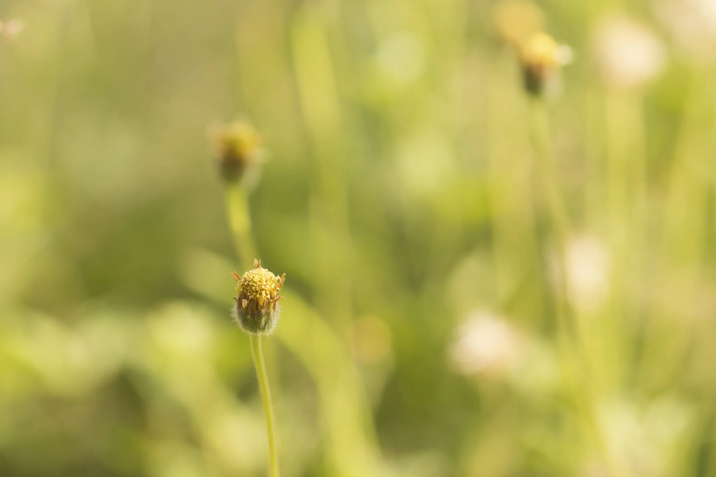 iStock_57788600_XXLARGE.jpg