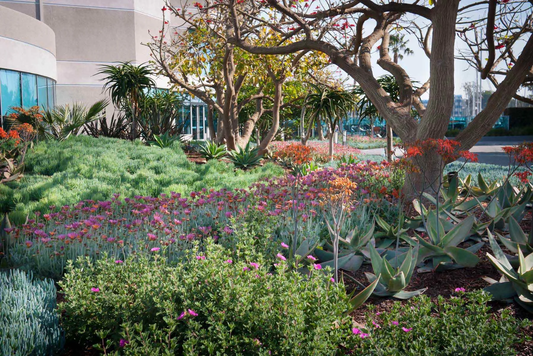 Esprit Marina Del Rey