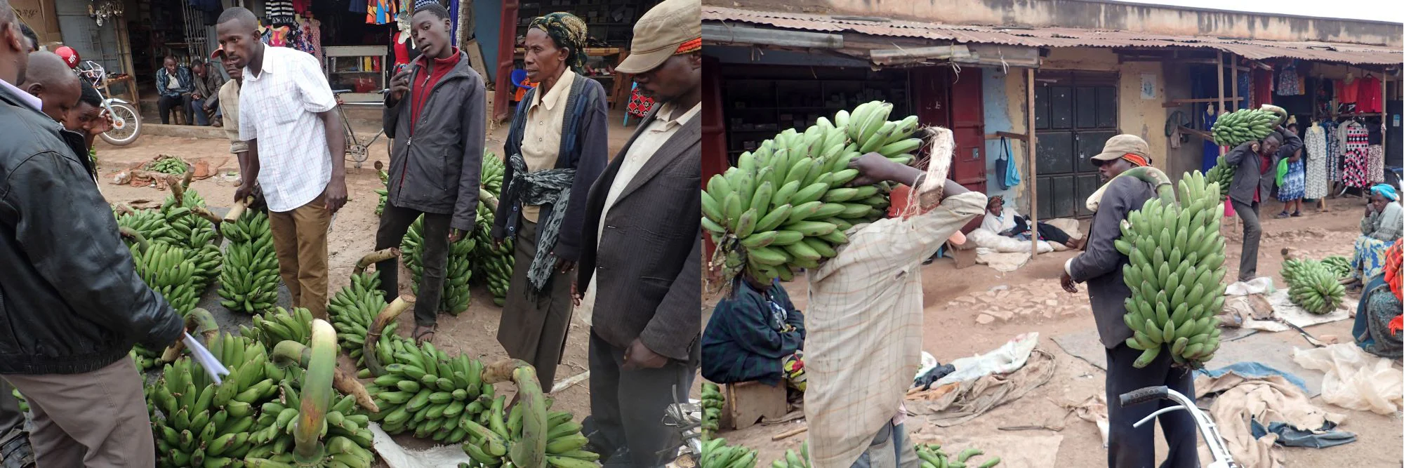 Bargaining for matooke; Carrying the matooke bunches to the van.