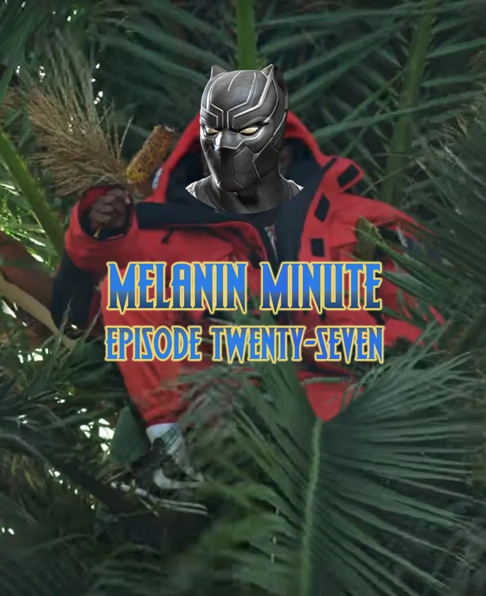 MM27.jpg