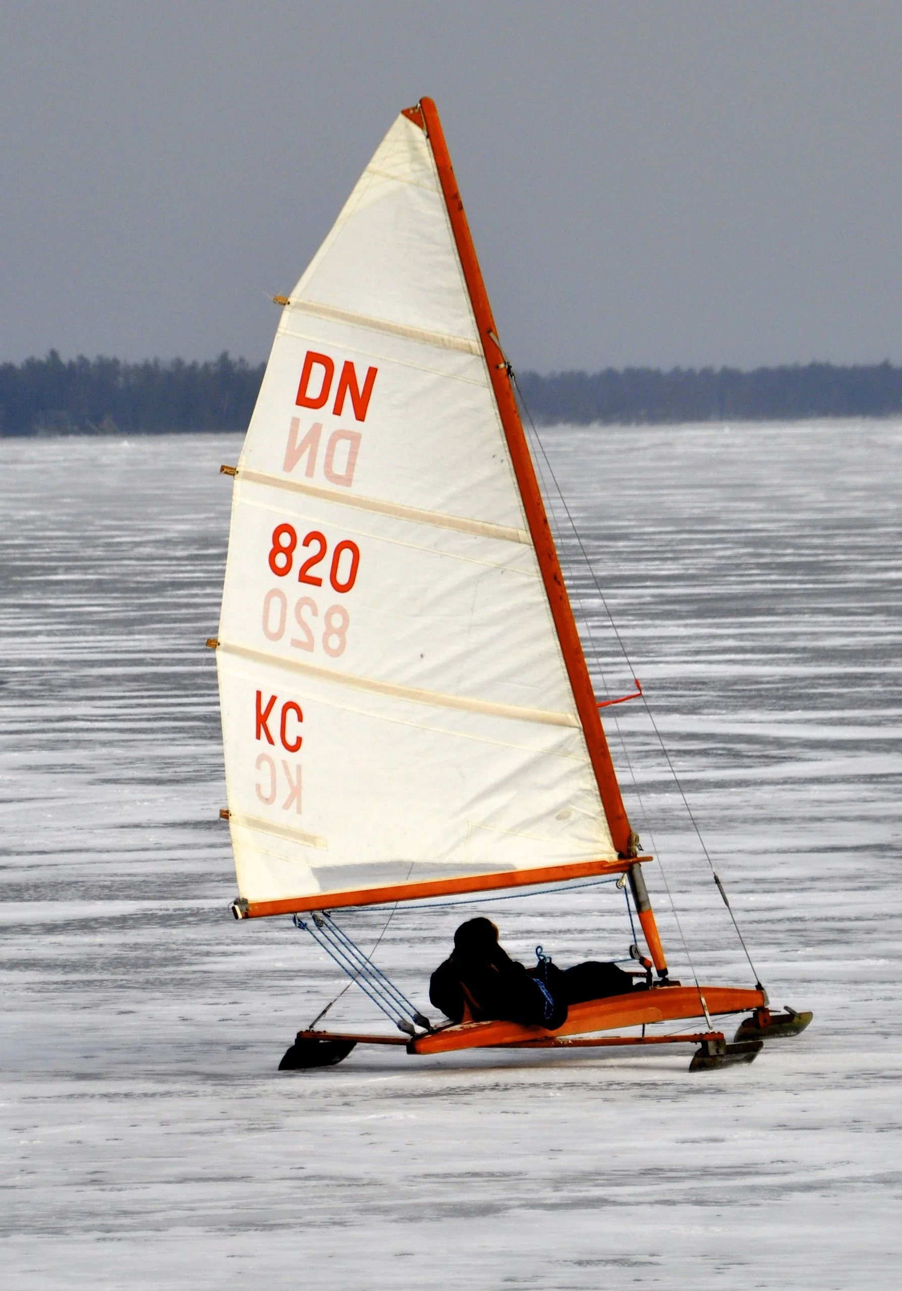 Winter #1.jpg