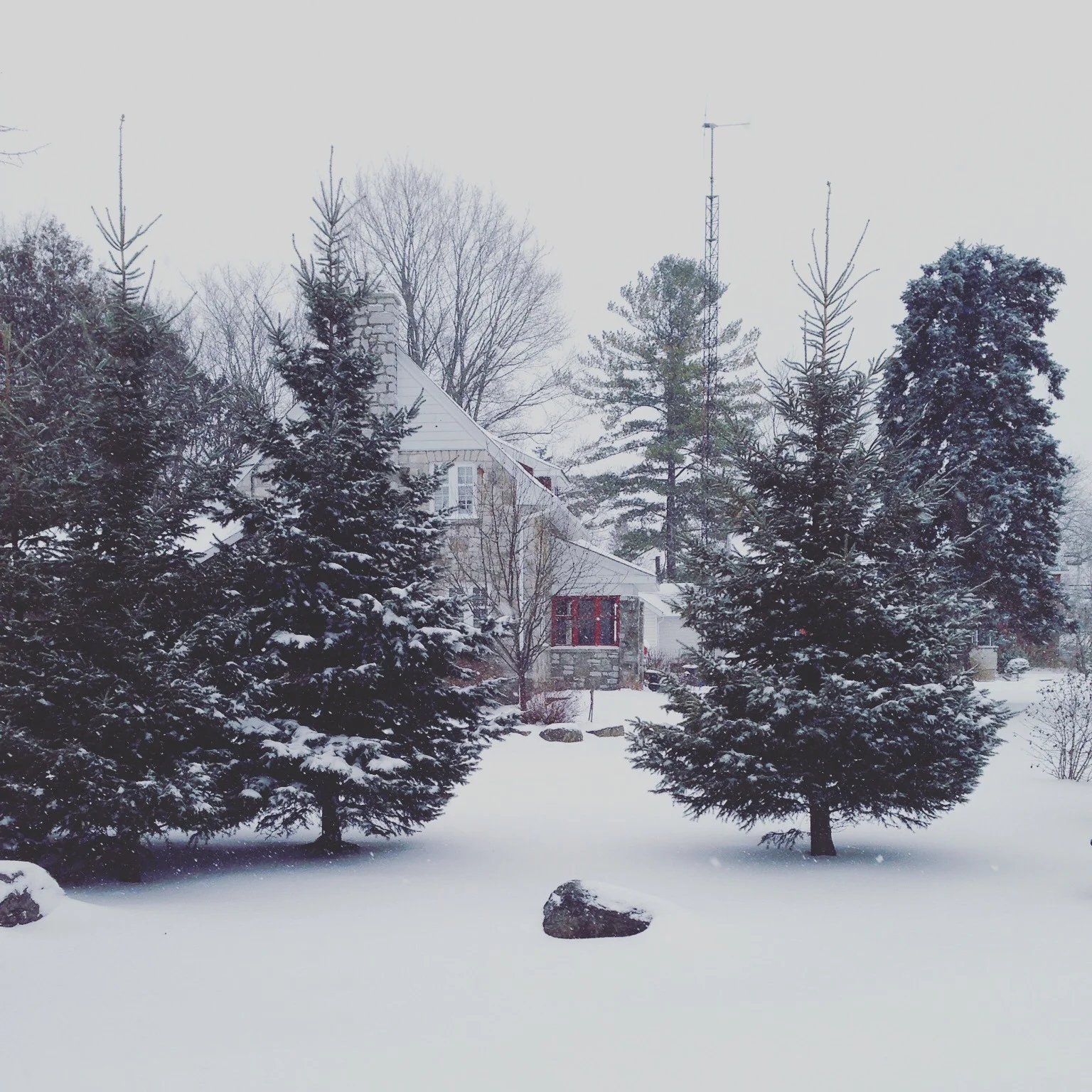 Winter #15.jpg