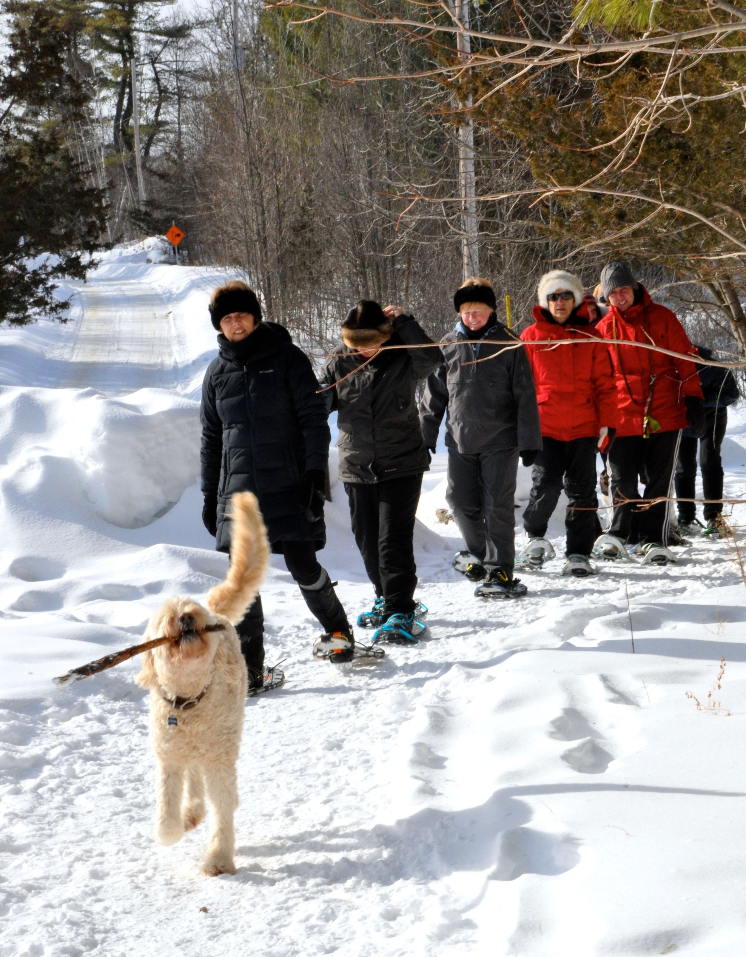 SNOWSHOEING