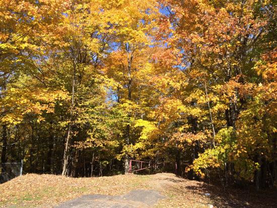 fall panorama the-trail-entrance.jpg