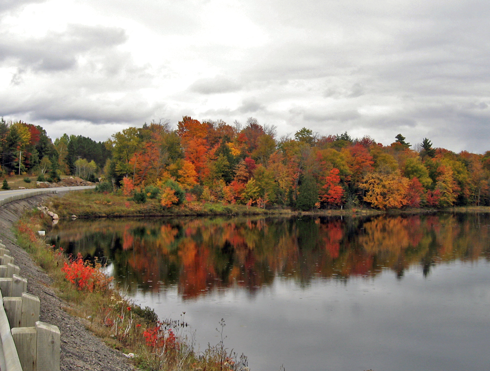 fall haliburton 3.jpg