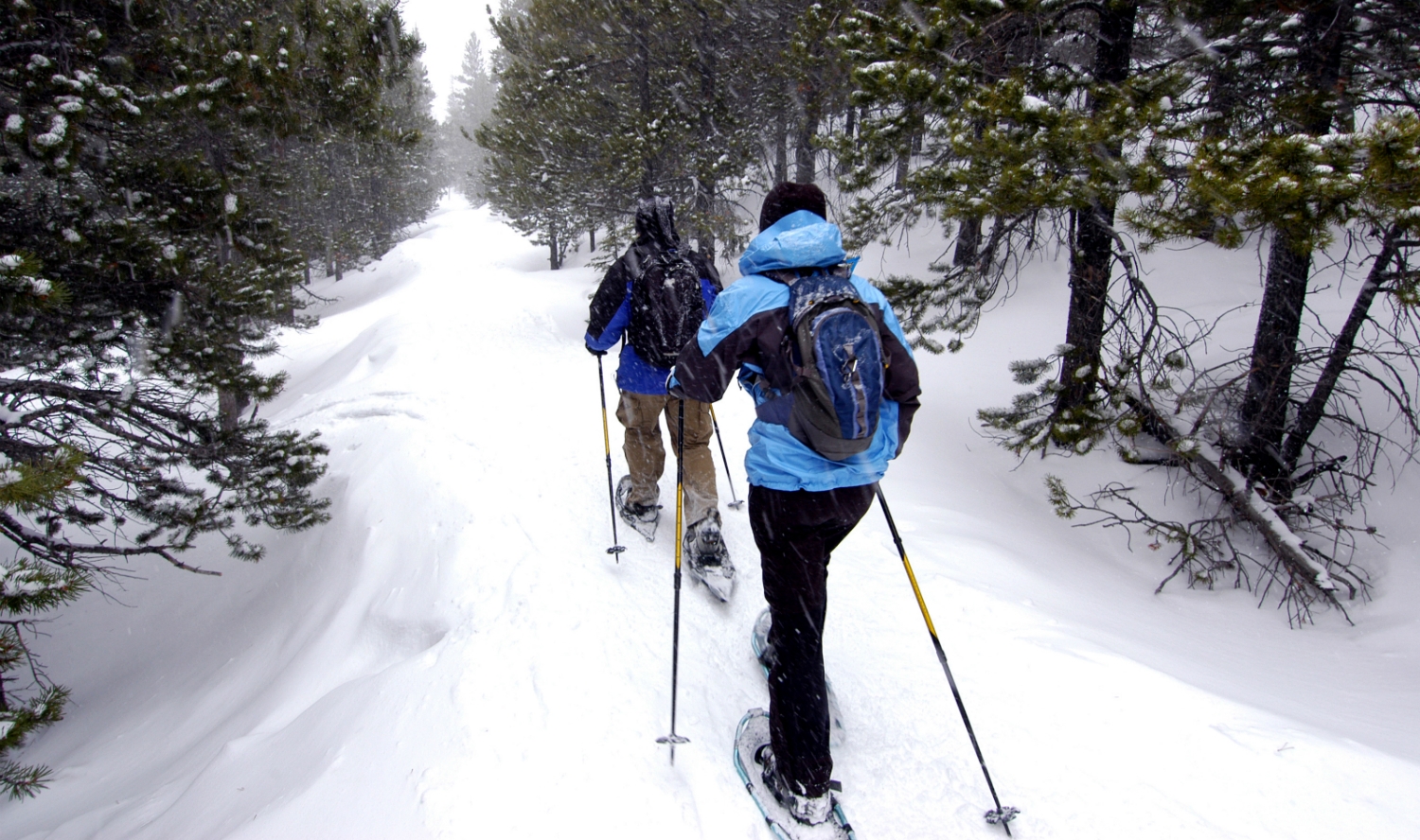 SNOWSHOEING