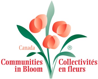 CiB-Logo.jpg