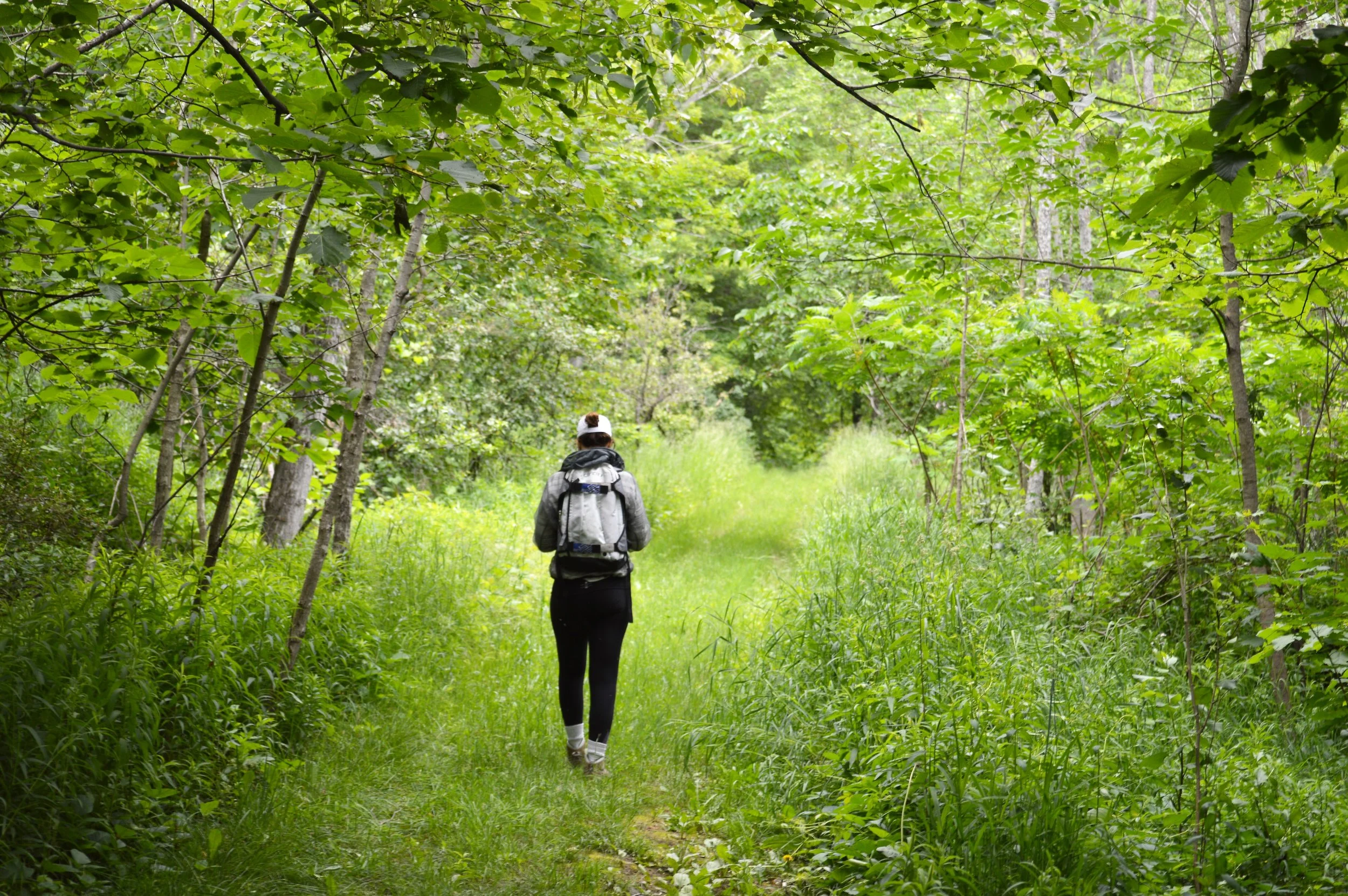 Hiking.jpg