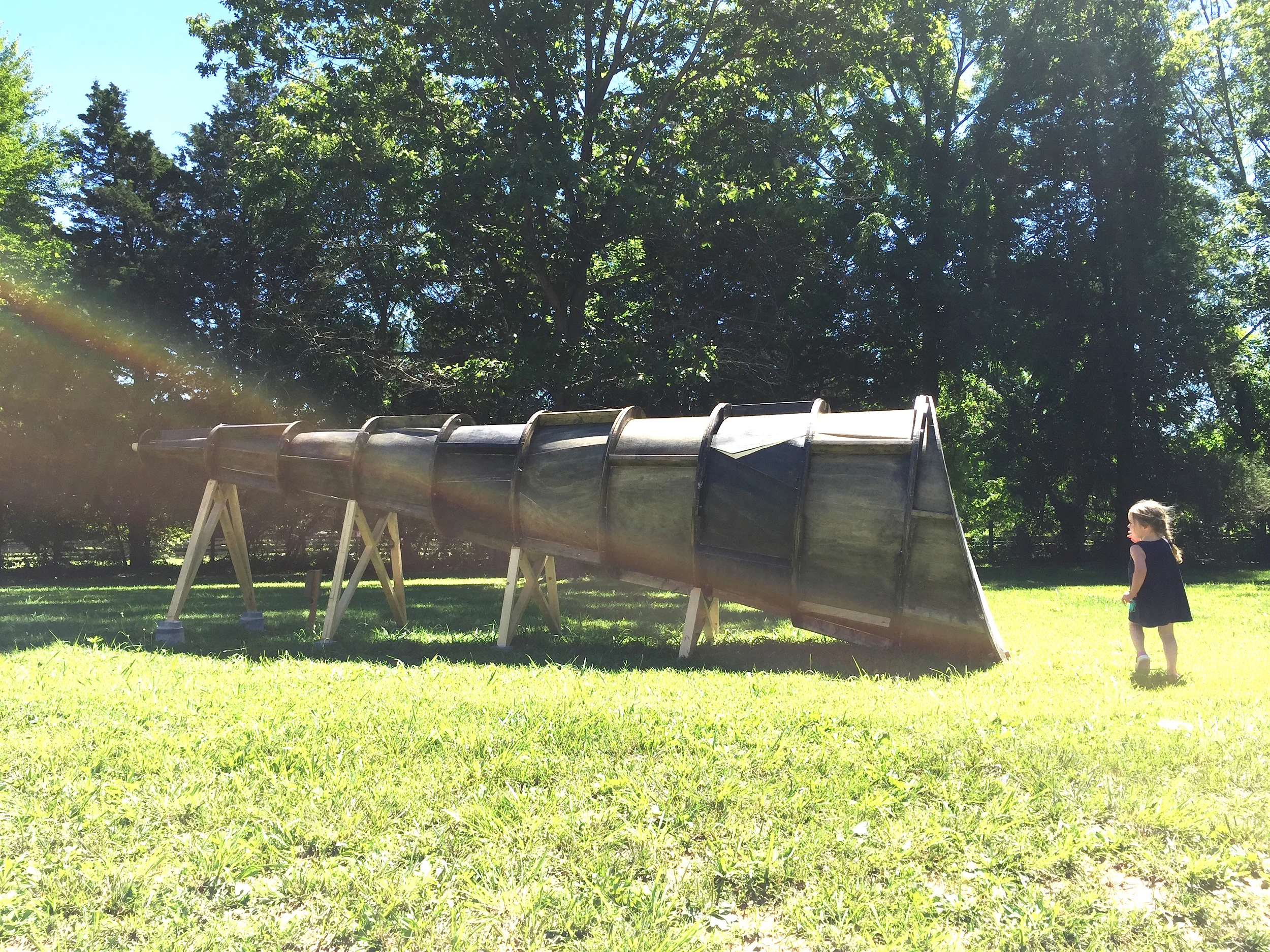  Side View  photo credit: Colleen Healey  