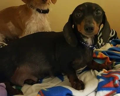 maggie.jpg