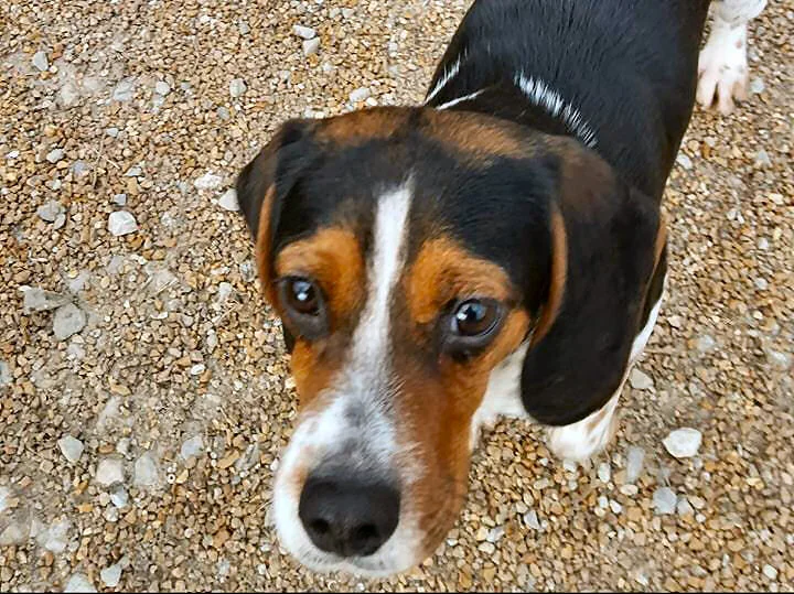 pepper.jpg