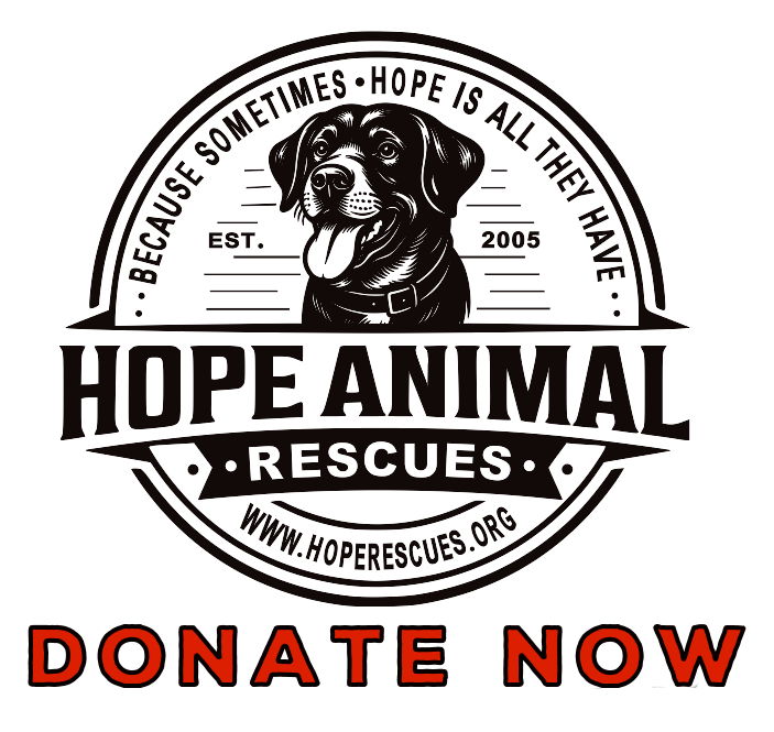 Donate now button.png