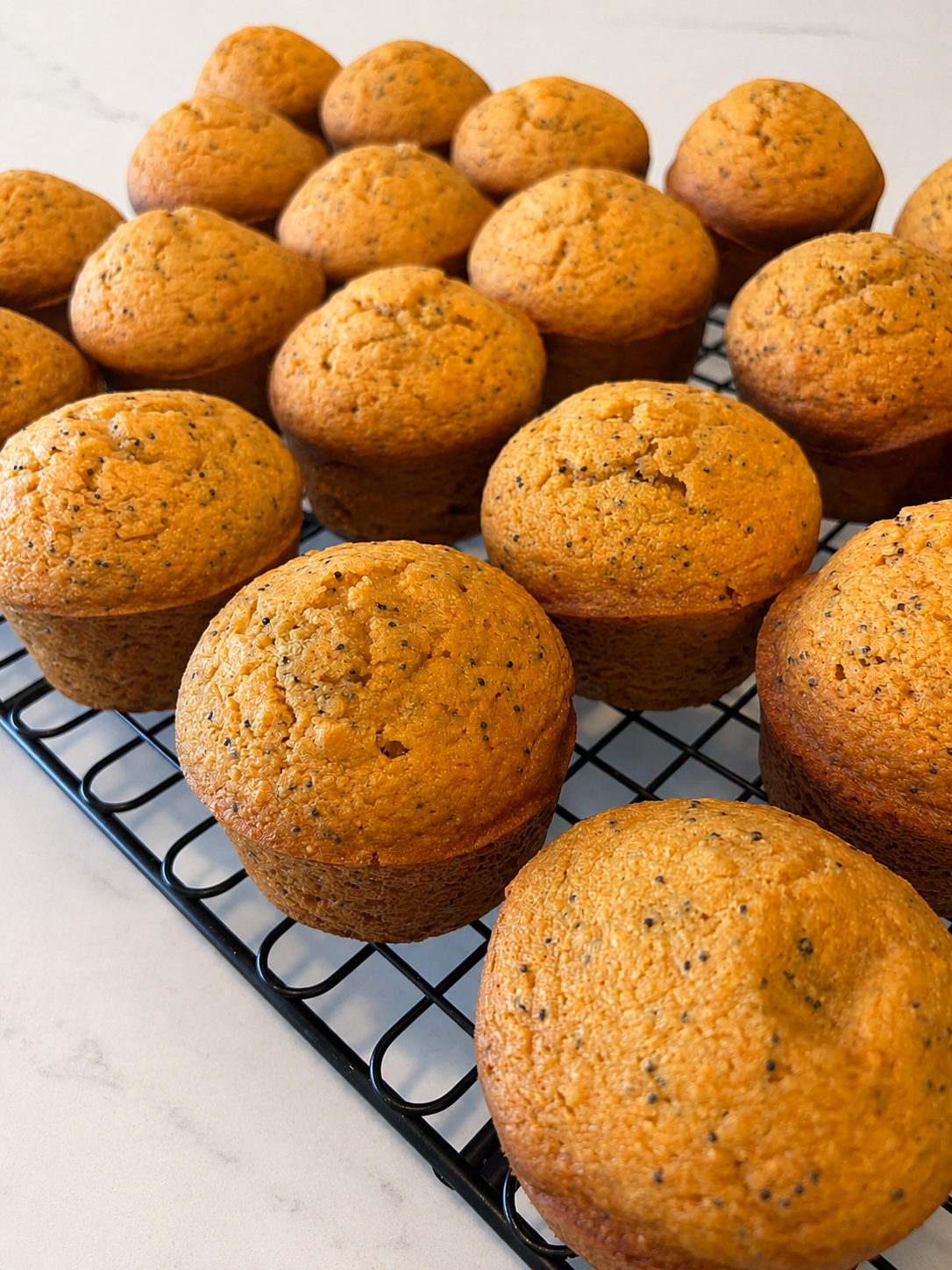 Heritage Whole Grain Lemon Poppy Seed Muffins